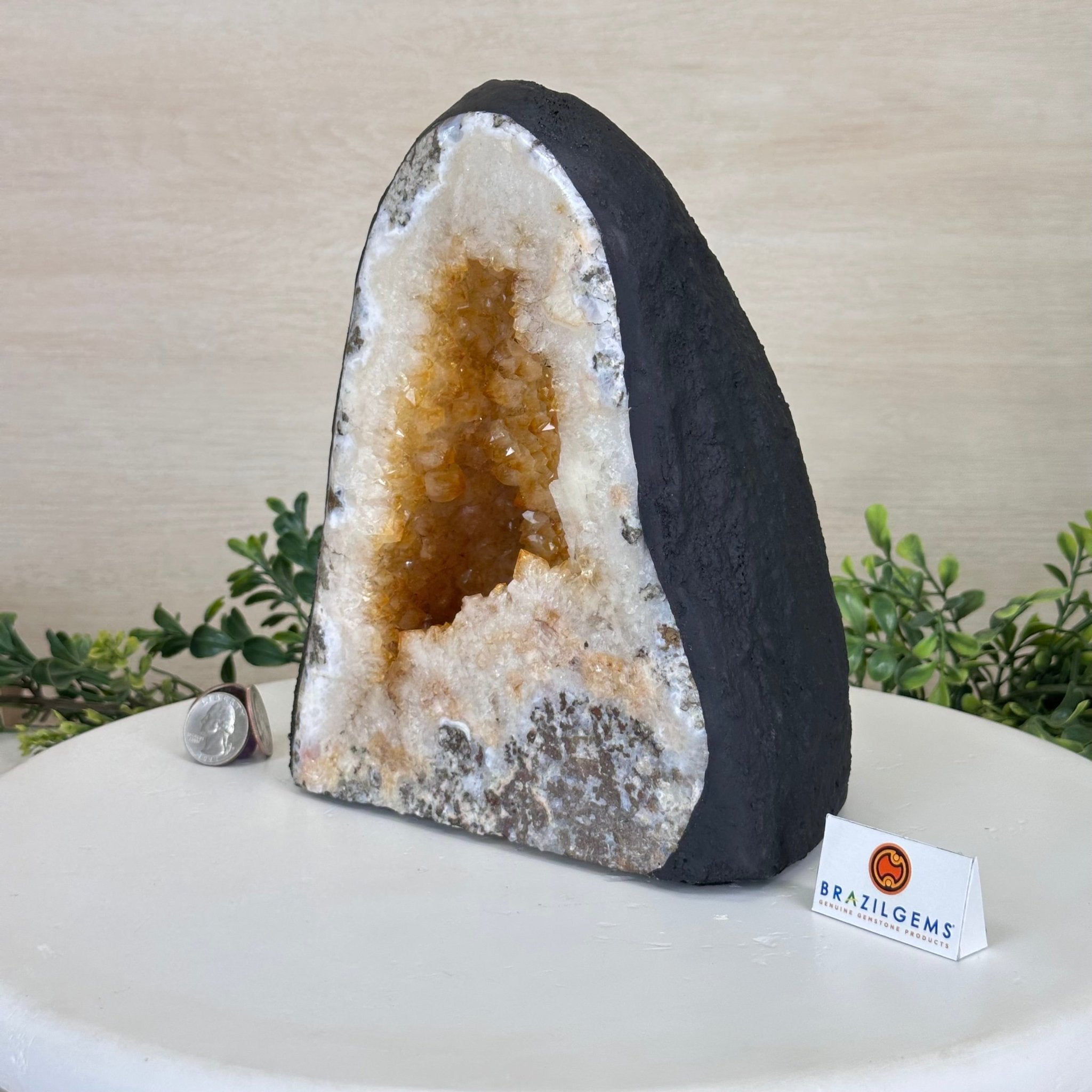 Extra Quality Citrine Cathedral, 12.9 lbs & 8.6" Tall 5603 - 0370 - Brazil GemsBrazil GemsExtra Quality Citrine Cathedral, 12.9 lbs & 8.6" Tall 5603 - 0370Cathedrals5603 - 0370