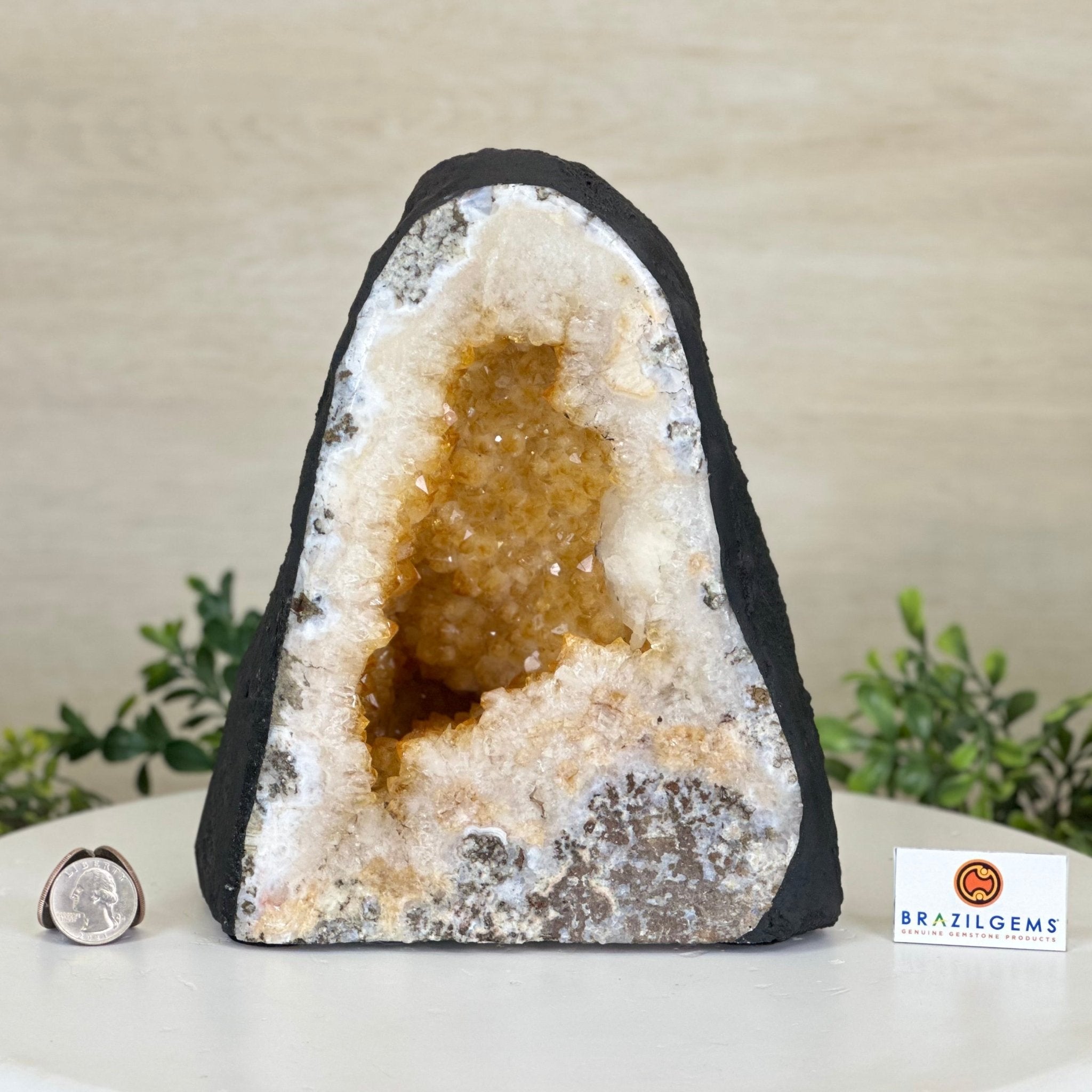 Extra Quality Citrine Cathedral, 12.9 lbs & 8.6" Tall 5603 - 0370 - Brazil GemsBrazil GemsExtra Quality Citrine Cathedral, 12.9 lbs & 8.6" Tall 5603 - 0370Cathedrals5603 - 0370