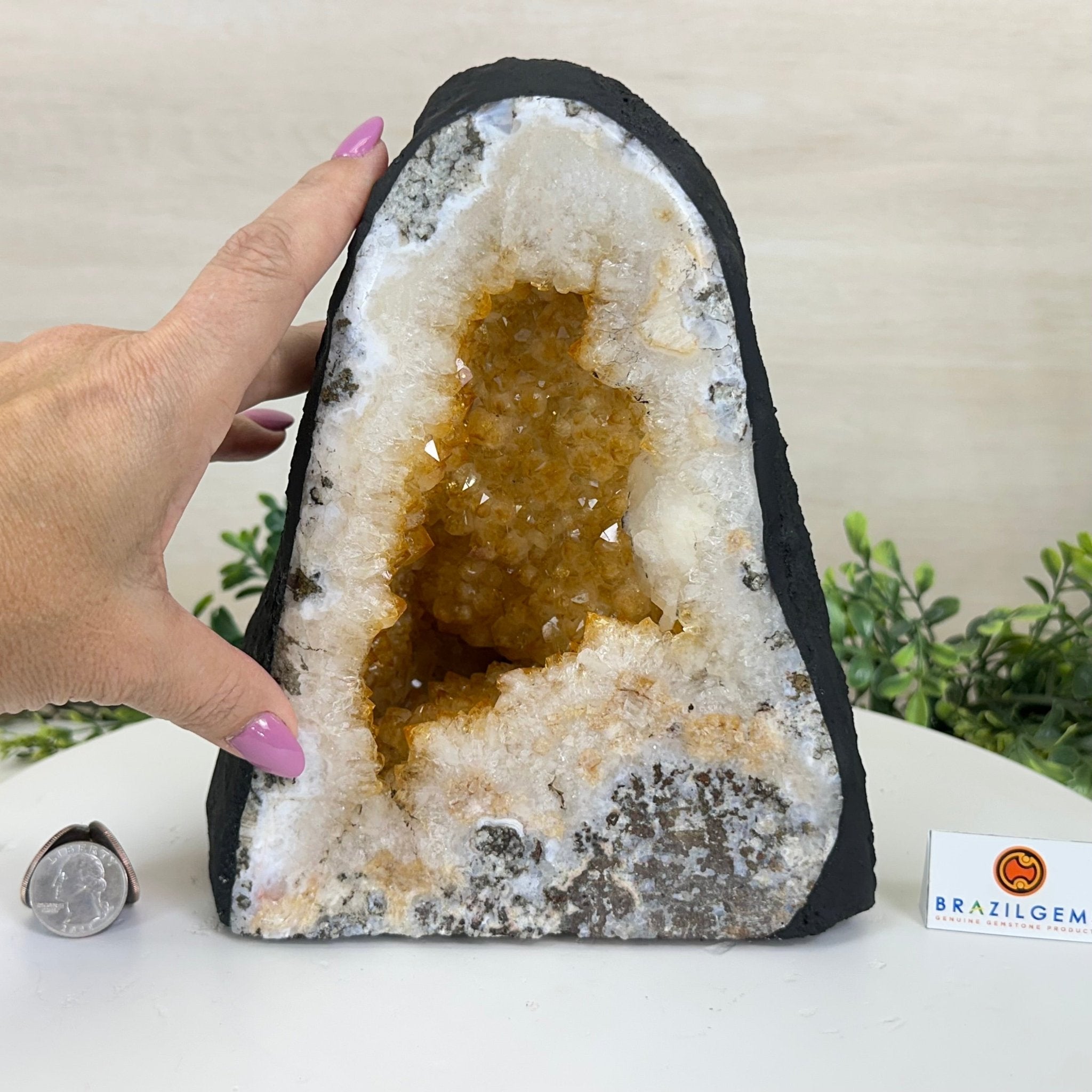 Extra Quality Citrine Cathedral, 12.9 lbs & 8.6" Tall 5603 - 0370 - Brazil GemsBrazil GemsExtra Quality Citrine Cathedral, 12.9 lbs & 8.6" Tall 5603 - 0370Cathedrals5603 - 0370