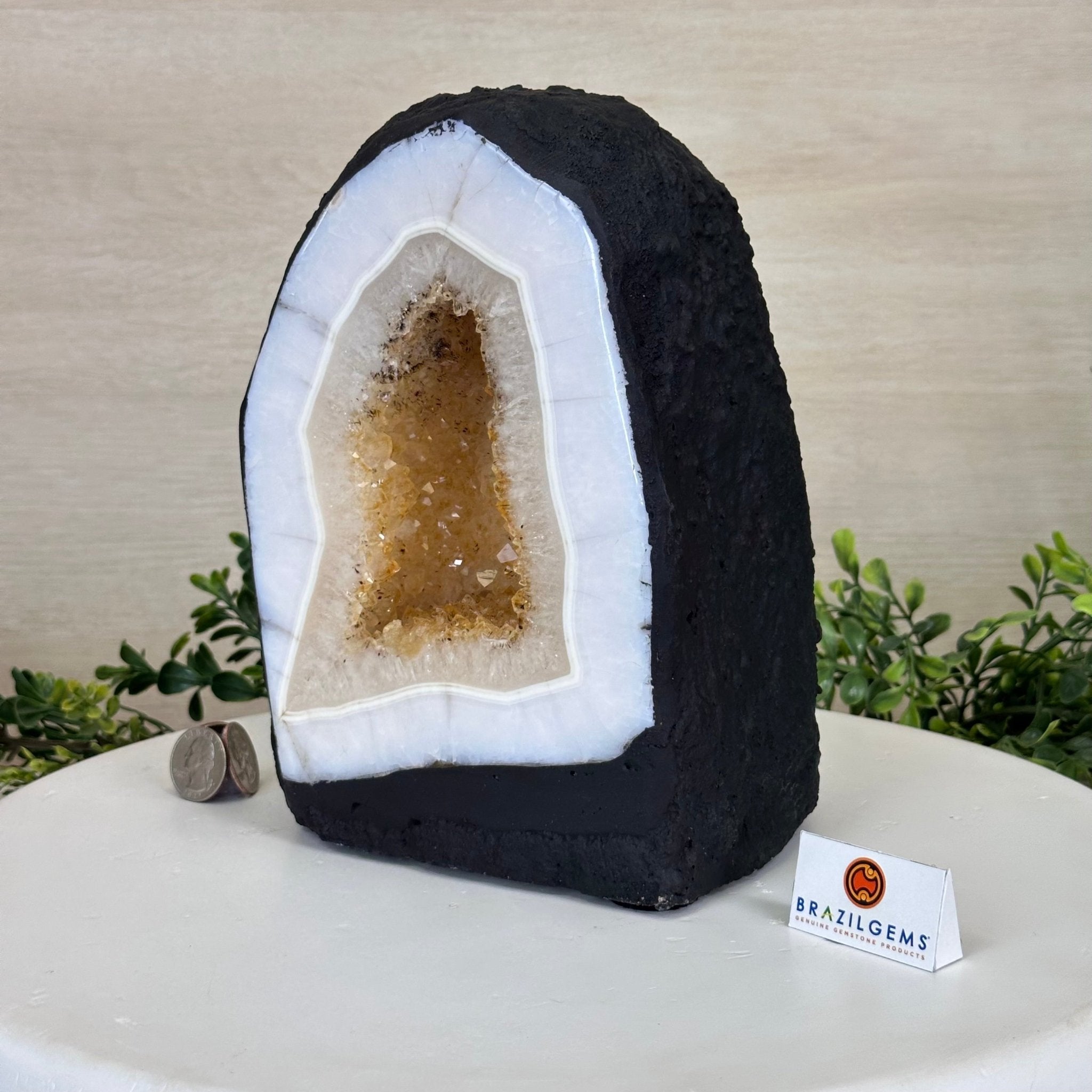 Extra Quality Citrine Cathedral, 14.9 lbs & 8.8" Tall 5603 - 0356 - Brazil GemsBrazil GemsExtra Quality Citrine Cathedral, 14.9 lbs & 8.8" Tall 5603 - 0356Cathedrals5603 - 0356