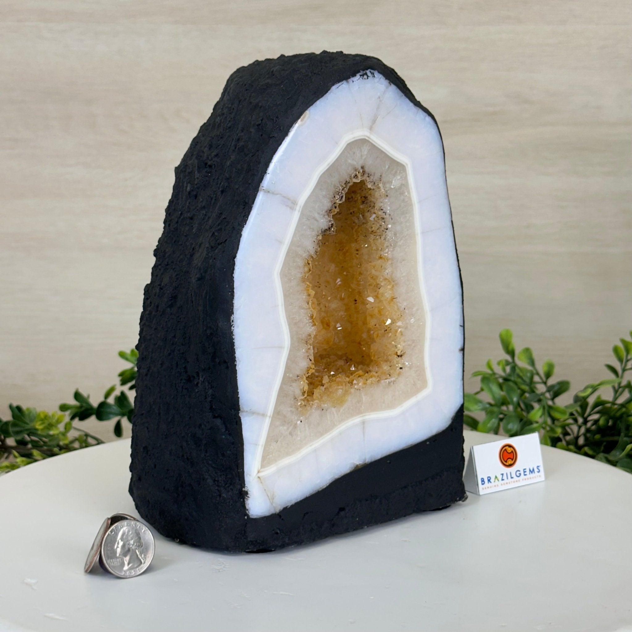 Extra Quality Citrine Cathedral, 14.9 lbs & 8.8" Tall 5603 - 0356 - Brazil GemsBrazil GemsExtra Quality Citrine Cathedral, 14.9 lbs & 8.8" Tall 5603 - 0356Cathedrals5603 - 0356