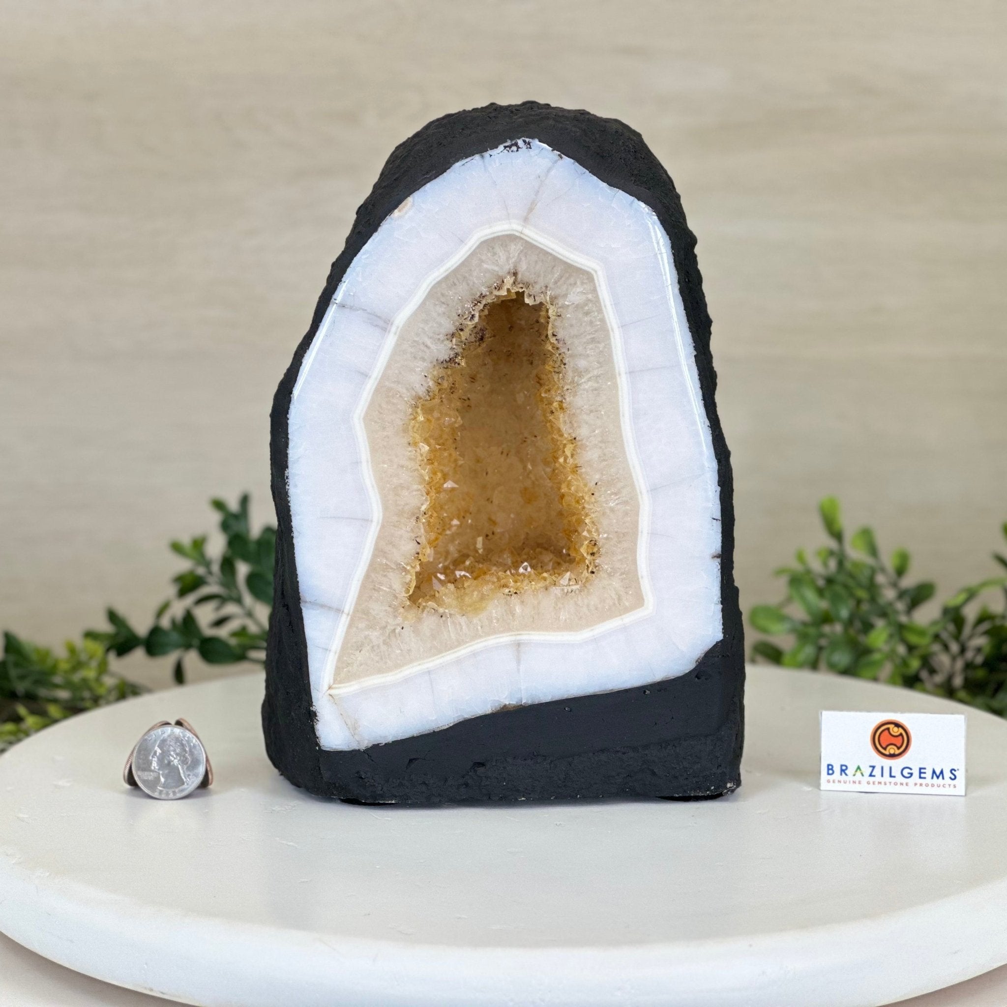 Extra Quality Citrine Cathedral, 14.9 lbs & 8.8" Tall 5603 - 0356 - Brazil GemsBrazil GemsExtra Quality Citrine Cathedral, 14.9 lbs & 8.8" Tall 5603 - 0356Cathedrals5603 - 0356
