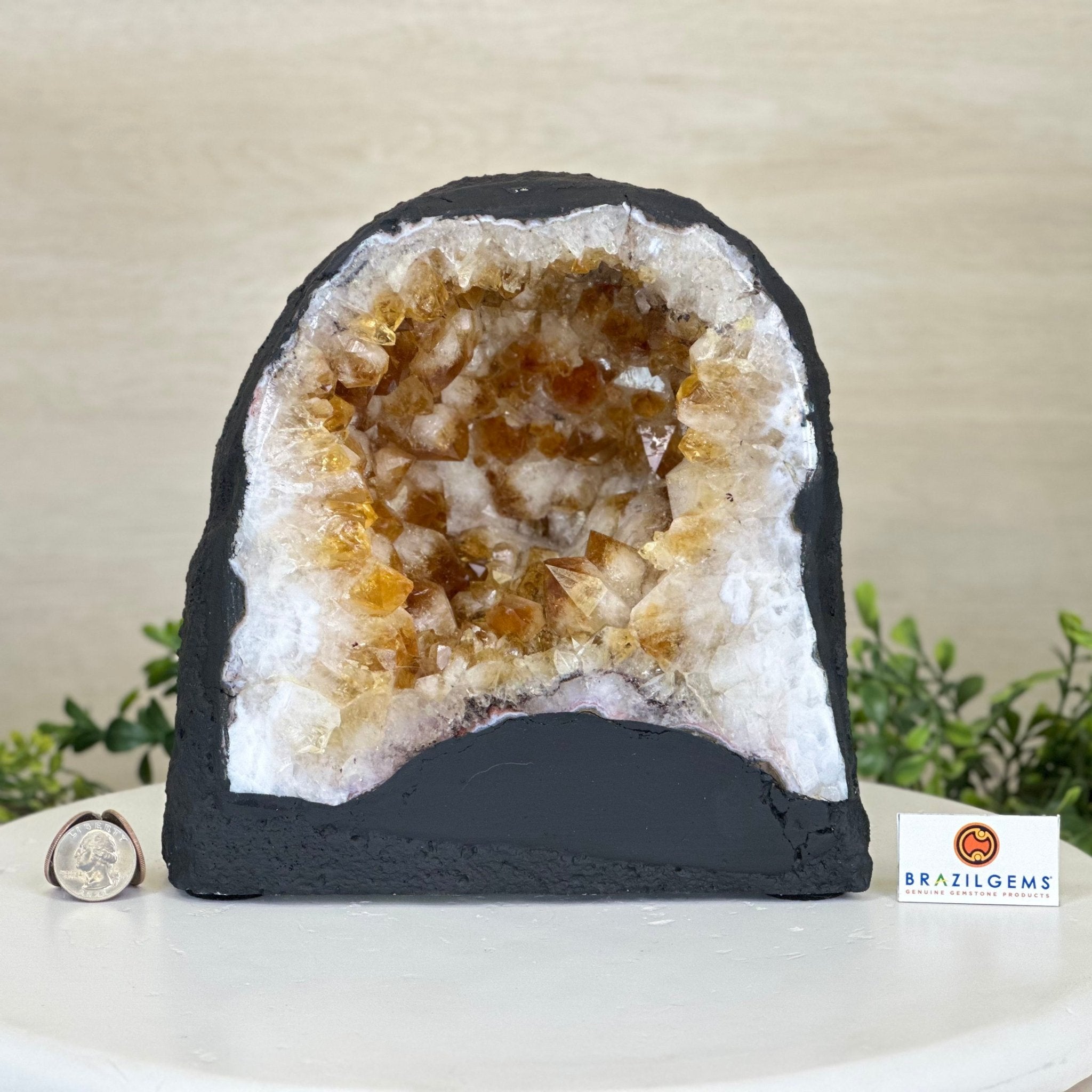 Extra Quality Citrine Cathedral, 15.8 lbs & 8.5" Tall 5603 - 0374 - Brazil GemsBrazil GemsExtra Quality Citrine Cathedral, 15.8 lbs & 8.5" Tall 5603 - 0374Cathedrals5603 - 0374