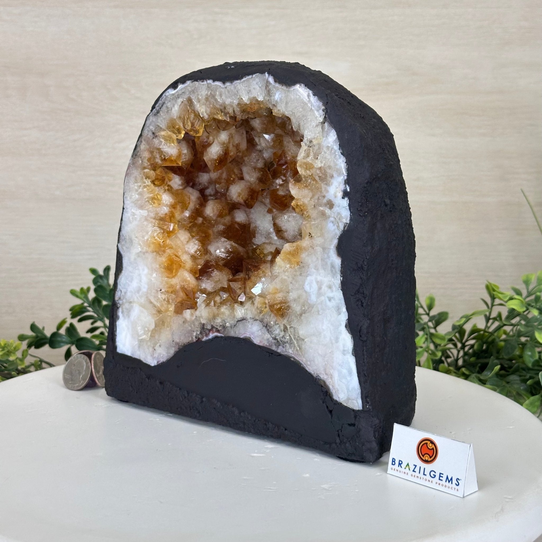 Extra Quality Citrine Cathedral, 15.8 lbs & 8.5" Tall 5603 - 0374 - Brazil GemsBrazil GemsExtra Quality Citrine Cathedral, 15.8 lbs & 8.5" Tall 5603 - 0374Cathedrals5603 - 0374