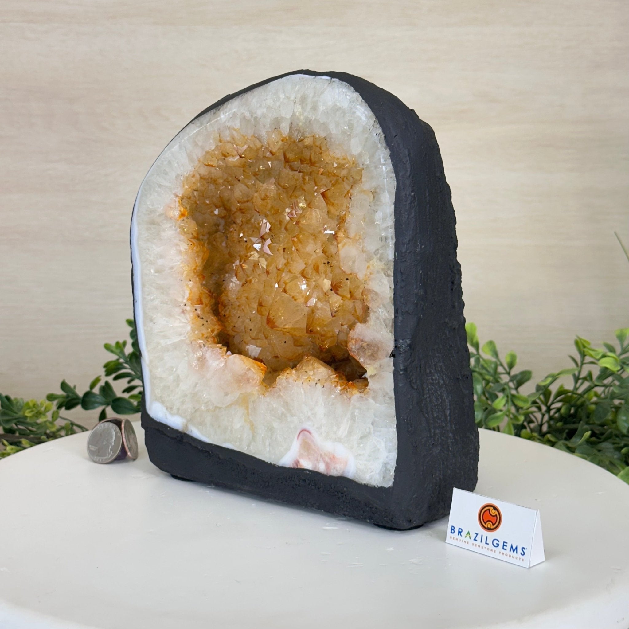 Extra Quality Citrine Cathedral, 16.5 lbs & 8.6" Tall 5603 - 0376 - Brazil GemsBrazil GemsExtra Quality Citrine Cathedral, 16.5 lbs & 8.6" Tall 5603 - 0376Cathedrals5603 - 0376