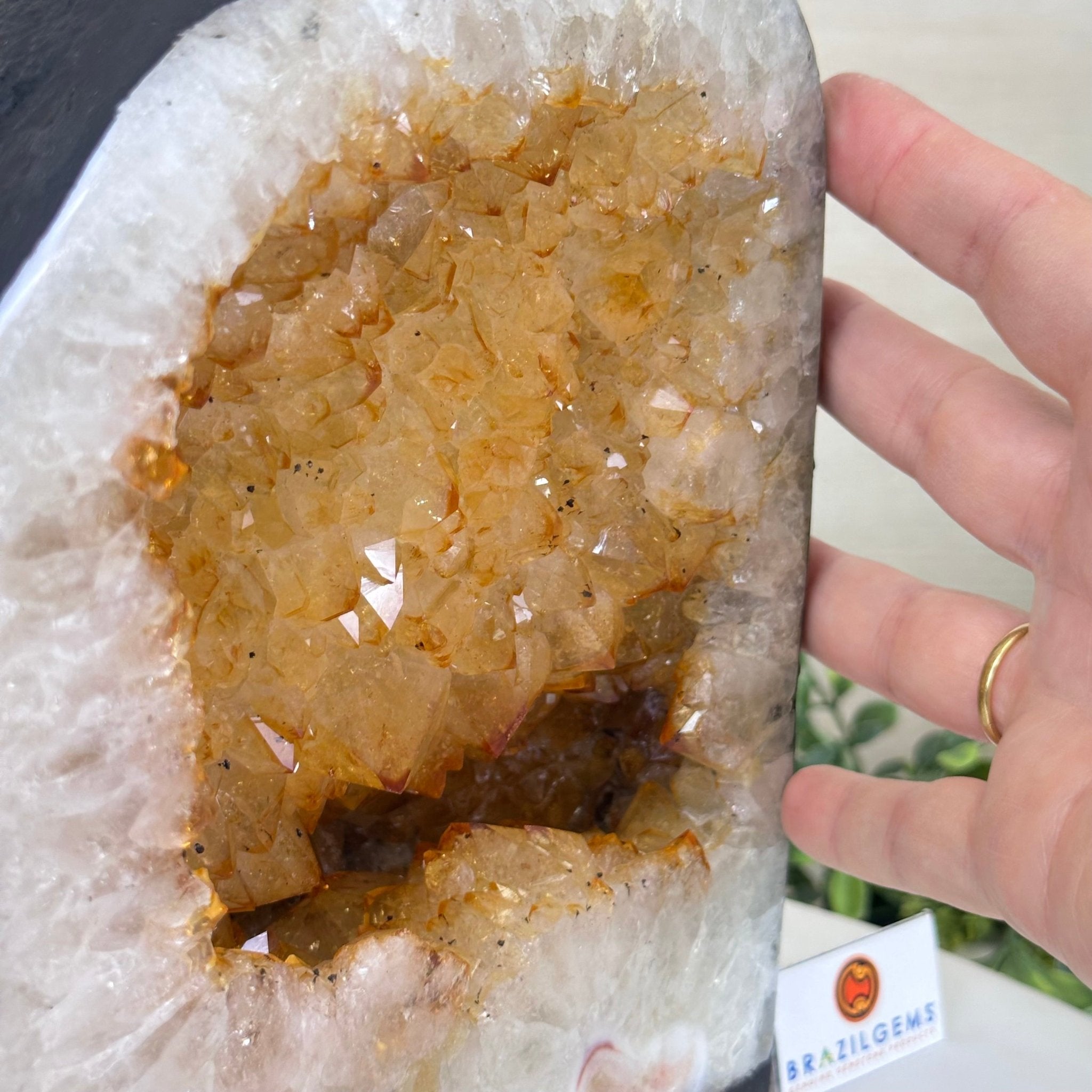 Extra Quality Citrine Cathedral, 16.5 lbs & 8.6" Tall 5603 - 0376 - Brazil GemsBrazil GemsExtra Quality Citrine Cathedral, 16.5 lbs & 8.6" Tall 5603 - 0376Cathedrals5603 - 0376