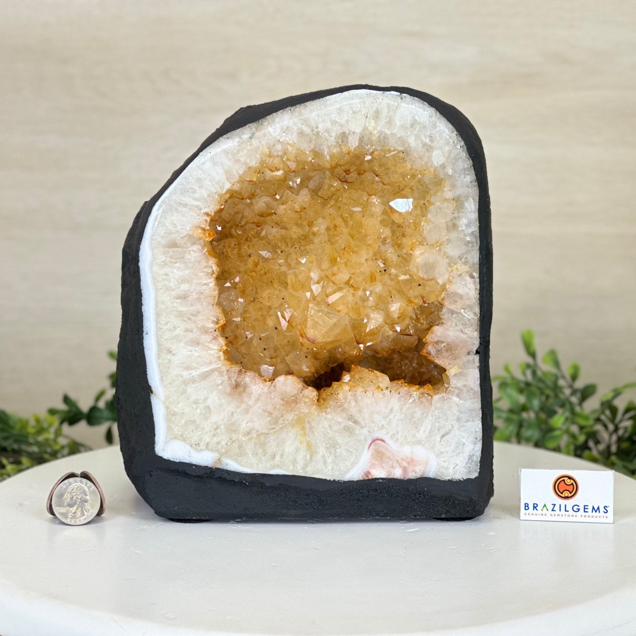 Extra Quality Citrine Cathedral, 16.5 lbs & 8.6" Tall 5603 - 0376 - Brazil GemsBrazil GemsExtra Quality Citrine Cathedral, 16.5 lbs & 8.6" Tall 5603 - 0376Cathedrals5603 - 0376