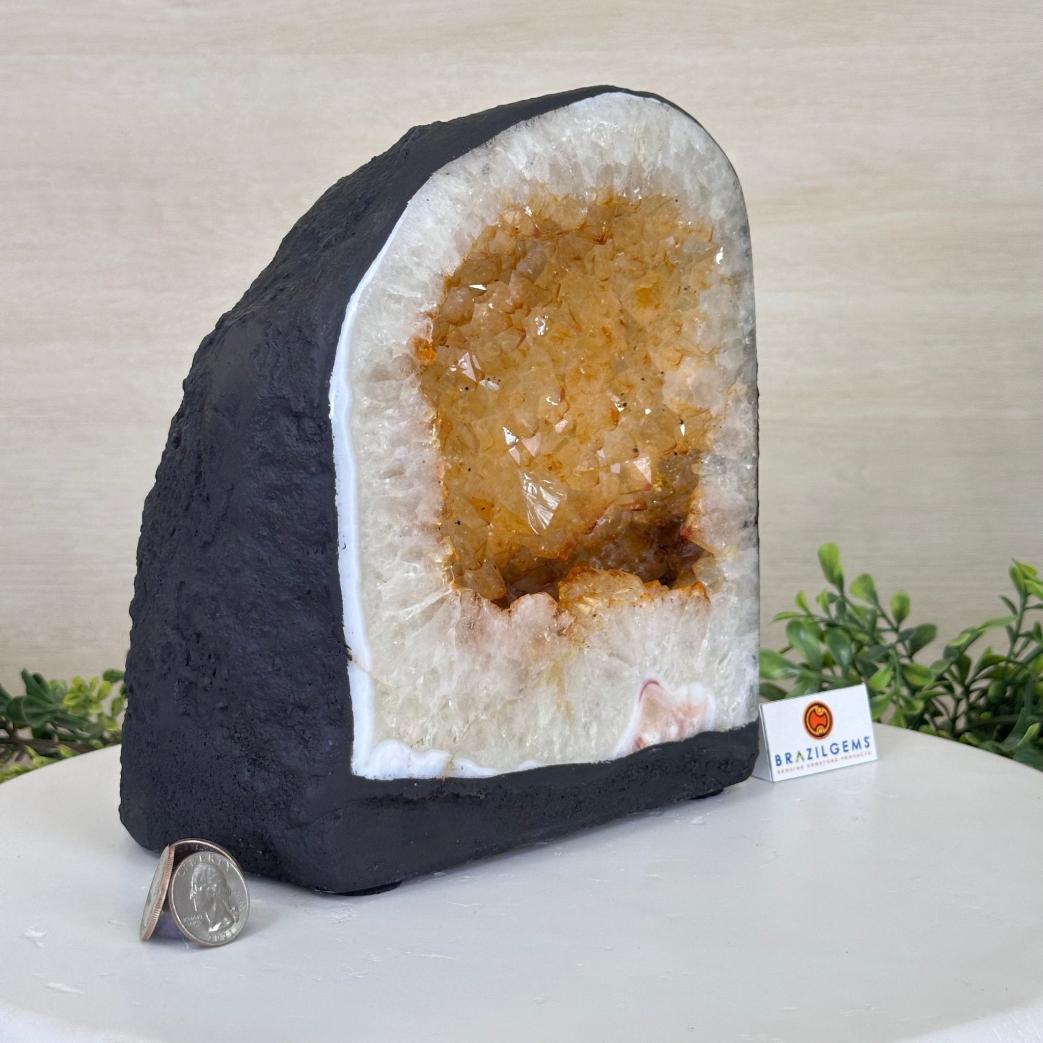 Extra Quality Citrine Cathedral, 16.5 lbs & 8.6" Tall 5603 - 0376 - Brazil GemsBrazil GemsExtra Quality Citrine Cathedral, 16.5 lbs & 8.6" Tall 5603 - 0376Cathedrals5603 - 0376