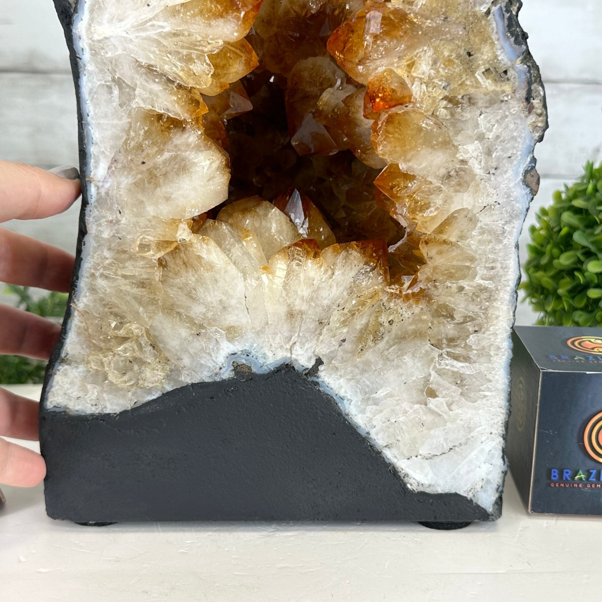 Extra Quality Citrine Cathedral, 25.8 lbs & 11.7" Tall #5603-0291 - Brazil GemsBrazil GemsExtra Quality Citrine Cathedral, 25.8 lbs & 11.7" Tall #5603-0291Cathedrals5603-0291
