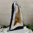Extra Quality Citrine Cathedral, 29 lbs & 16.2" Tall 5603 - 0388 - Brazil GemsBrazil GemsExtra Quality Citrine Cathedral, 29 lbs & 16.2" Tall 5603 - 0388Cathedrals5603 - 0388