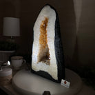 Extra Quality Citrine Cathedral, 32.3 lbs & 15" Tall 5603 - 0391 - Brazil GemsBrazil GemsExtra Quality Citrine Cathedral, 32.3 lbs & 15" Tall 5603 - 0391Cathedrals5603 - 0391