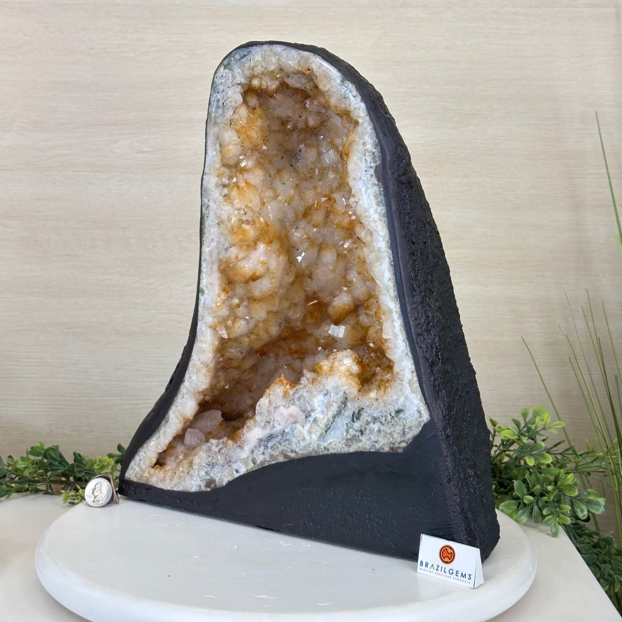 Extra Quality Citrine Cathedral, 39 lbs & 14.6" Tall 5603 - 0396 - Brazil GemsBrazil GemsExtra Quality Citrine Cathedral, 39 lbs & 14.6" Tall 5603 - 0396Cathedrals5603 - 0396