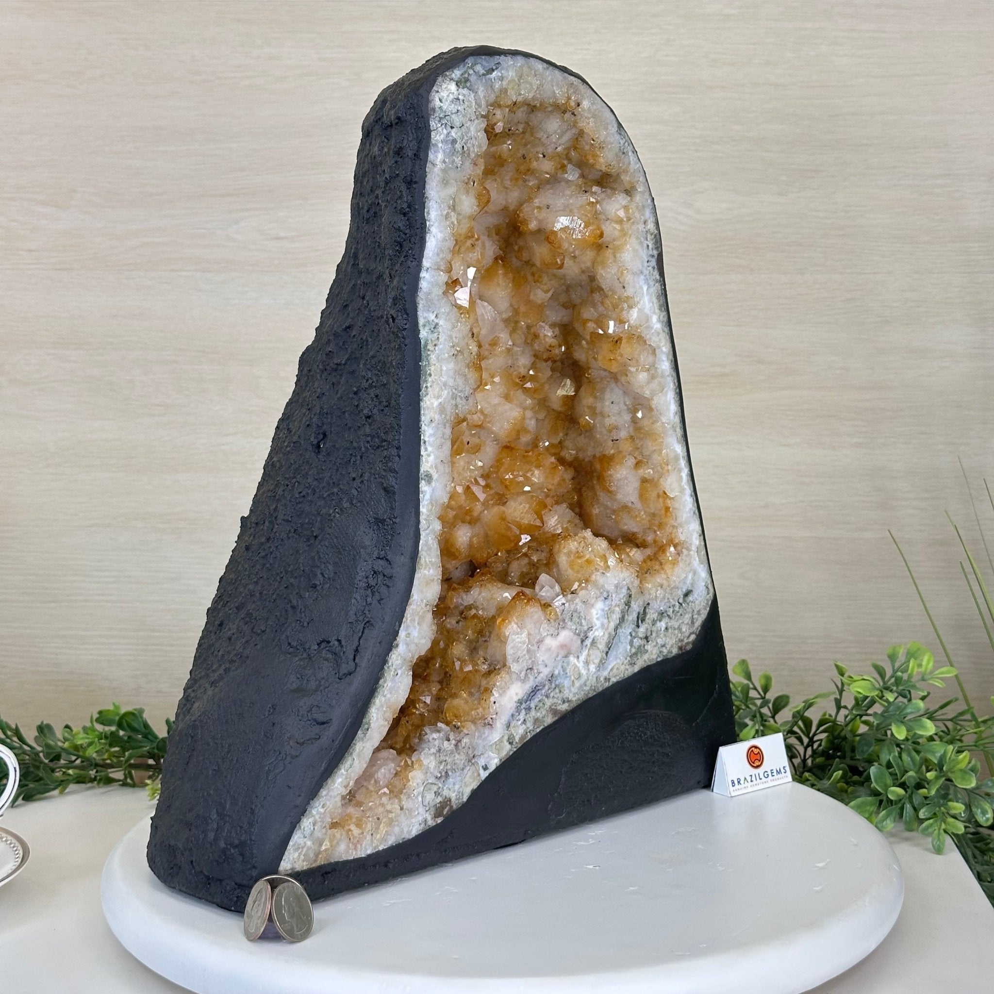 Extra Quality Citrine Cathedral, 39 lbs & 14.6" Tall 5603 - 0396 - Brazil GemsBrazil GemsExtra Quality Citrine Cathedral, 39 lbs & 14.6" Tall 5603 - 0396Cathedrals5603 - 0396