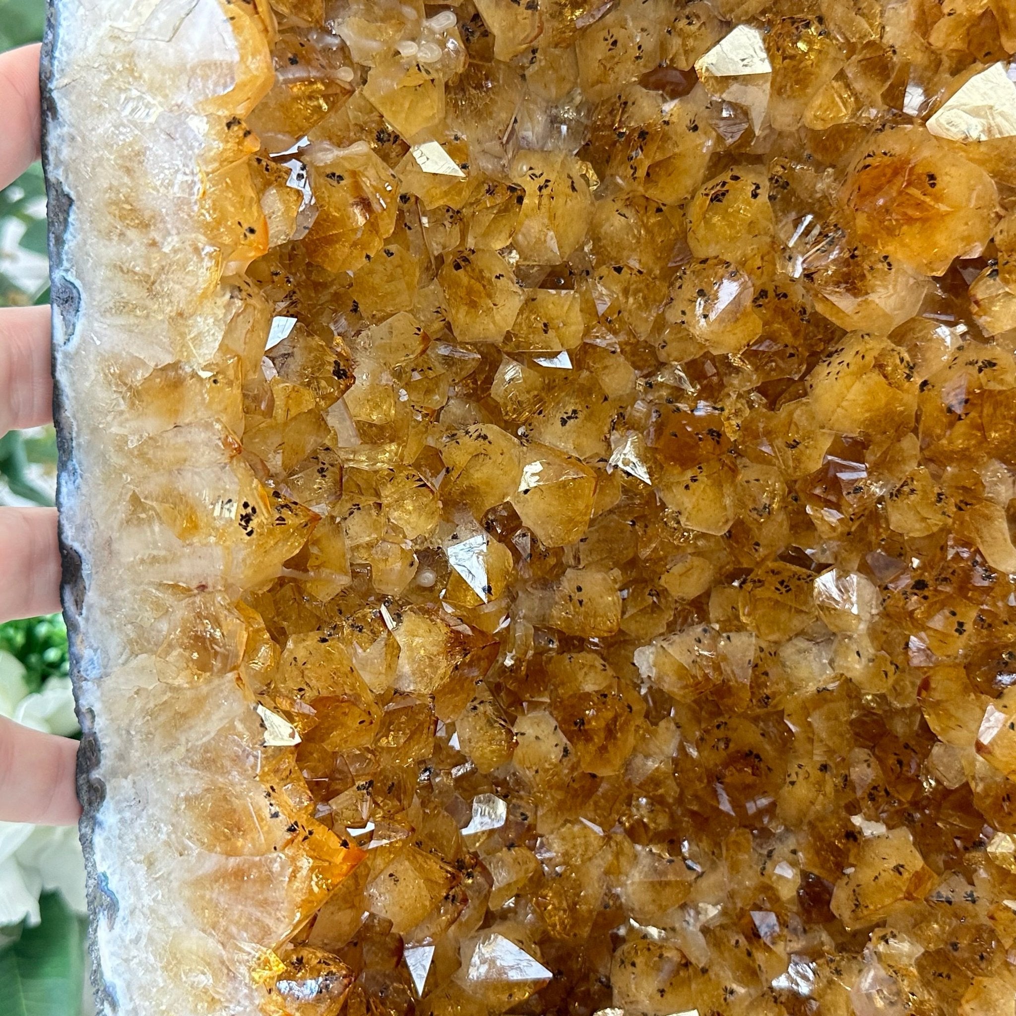 Extra Quality Citrine Cathedral, 71.4 lbs & 19.8" Tall #5603-0293 by Brazil Gems® - Brazil GemsBrazil GemsExtra Quality Citrine Cathedral, 71.4 lbs & 19.8" Tall #5603-0293 by Brazil Gems®Cathedrals5603-0293