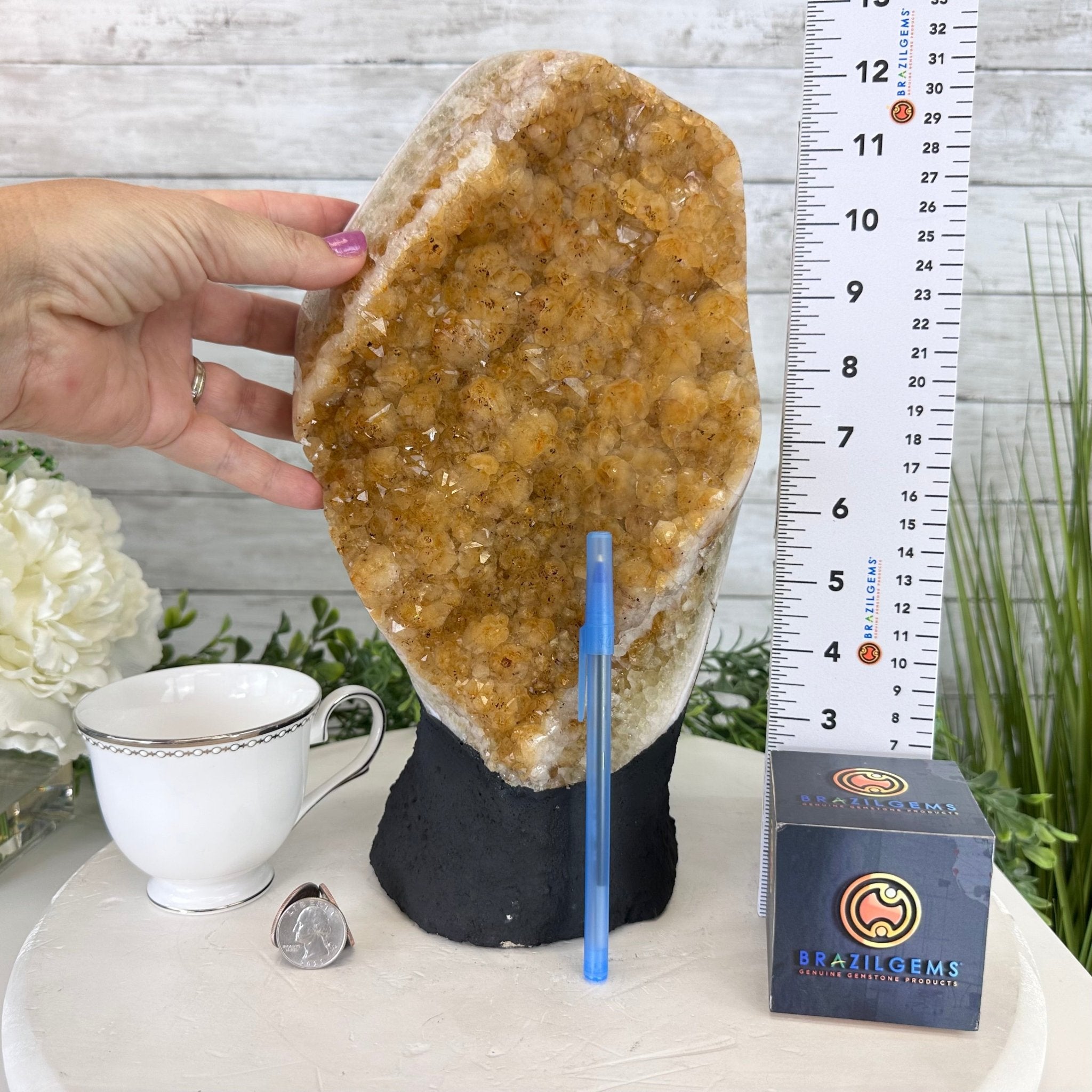 Extra Quality Citrine Cluster, Cement Base, 12.25" Tall #5615-0038 - Brazil GemsBrazil GemsExtra Quality Citrine Cluster, Cement Base, 12.25" Tall #5615-0038Clusters on Cement Bases5615-0038