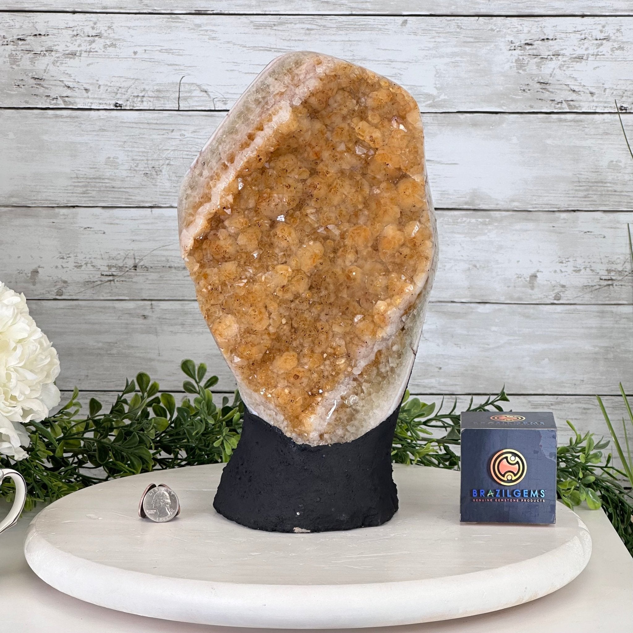 Extra Quality Citrine Cluster, Cement Base, 12.25" Tall #5615-0038 - Brazil GemsBrazil GemsExtra Quality Citrine Cluster, Cement Base, 12.25" Tall #5615-0038Clusters on Cement Bases5615-0038