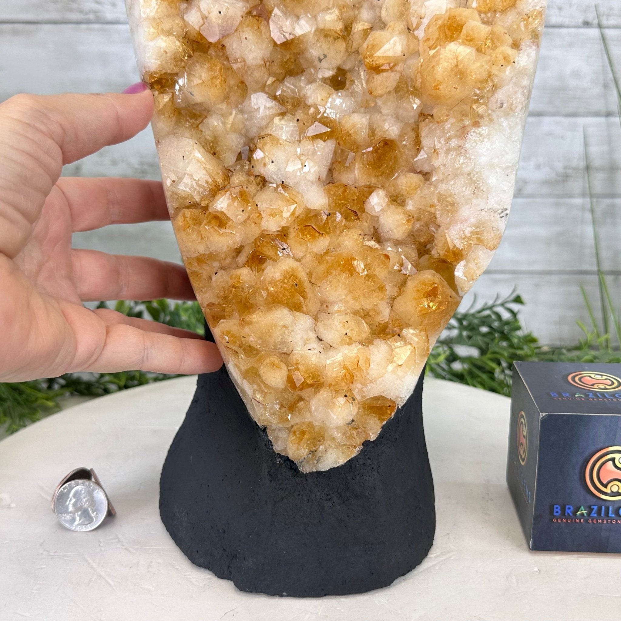 Extra Quality Citrine Cluster, Cement Base, 5.5" Tall #5615-0040 - Brazil GemsBrazil GemsExtra Quality Citrine Cluster, Cement Base, 5.5" Tall #5615-0040Clusters on Cement Bases5615-0040