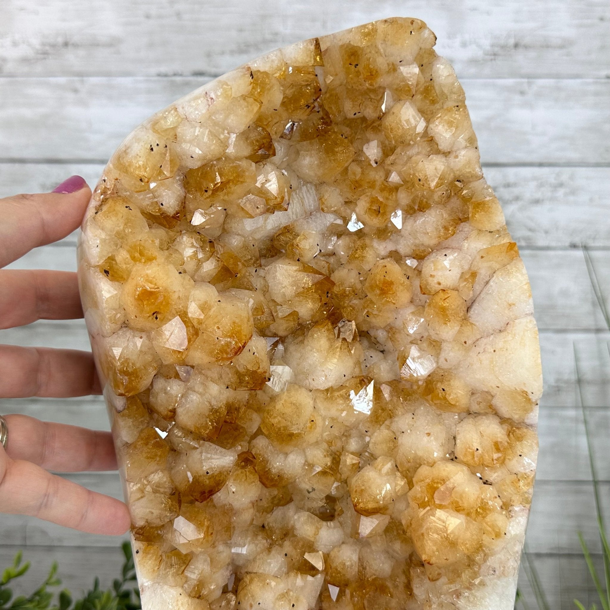 Extra Quality Citrine Cluster, Cement Base, 5.5" Tall #5615-0040 - Brazil GemsBrazil GemsExtra Quality Citrine Cluster, Cement Base, 5.5" Tall #5615-0040Clusters on Cement Bases5615-0040