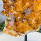 Extra Quality Citrine Cluster on a Metal Stand, 7.4 lbs & 12.9" Tall #5496 - 0059 - Brazil GemsBrazil GemsExtra Quality Citrine Cluster on a Metal Stand, 7.4 lbs & 12.9" Tall #5496 - 0059Clusters on Fixed Bases5496 - 0059