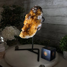 Extra Quality Citrine Cluster on a Metal Stand, 7.4 lbs & 12.9" Tall #5496 - 0059 - Brazil GemsBrazil GemsExtra Quality Citrine Cluster on a Metal Stand, 7.4 lbs & 12.9" Tall #5496 - 0059Clusters on Fixed Bases5496 - 0059