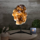 Extra Quality Citrine Cluster on a Metal Stand, 7.4 lbs & 12.9" Tall #5496 - 0059 - Brazil GemsBrazil GemsExtra Quality Citrine Cluster on a Metal Stand, 7.4 lbs & 12.9" Tall #5496 - 0059Clusters on Fixed Bases5496 - 0059