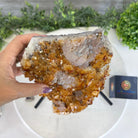 Extra Quality Citrine Cluster on a Metal Stand, 7.4 lbs & 12.9" Tall #5496 - 0059 - Brazil GemsBrazil GemsExtra Quality Citrine Cluster on a Metal Stand, 7.4 lbs & 12.9" Tall #5496 - 0059Clusters on Fixed Bases5496 - 0059