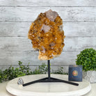 Extra Quality Citrine Cluster on a Metal Stand, 7.4 lbs & 12.9" Tall #5496 - 0059 - Brazil GemsBrazil GemsExtra Quality Citrine Cluster on a Metal Stand, 7.4 lbs & 12.9" Tall #5496 - 0059Clusters on Fixed Bases5496 - 0059