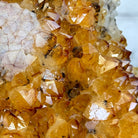 Extra Quality Citrine Cluster on a Metal Stand, 7.4 lbs & 12.9" Tall #5496 - 0059 - Brazil GemsBrazil GemsExtra Quality Citrine Cluster on a Metal Stand, 7.4 lbs & 12.9" Tall #5496 - 0059Clusters on Fixed Bases5496 - 0059