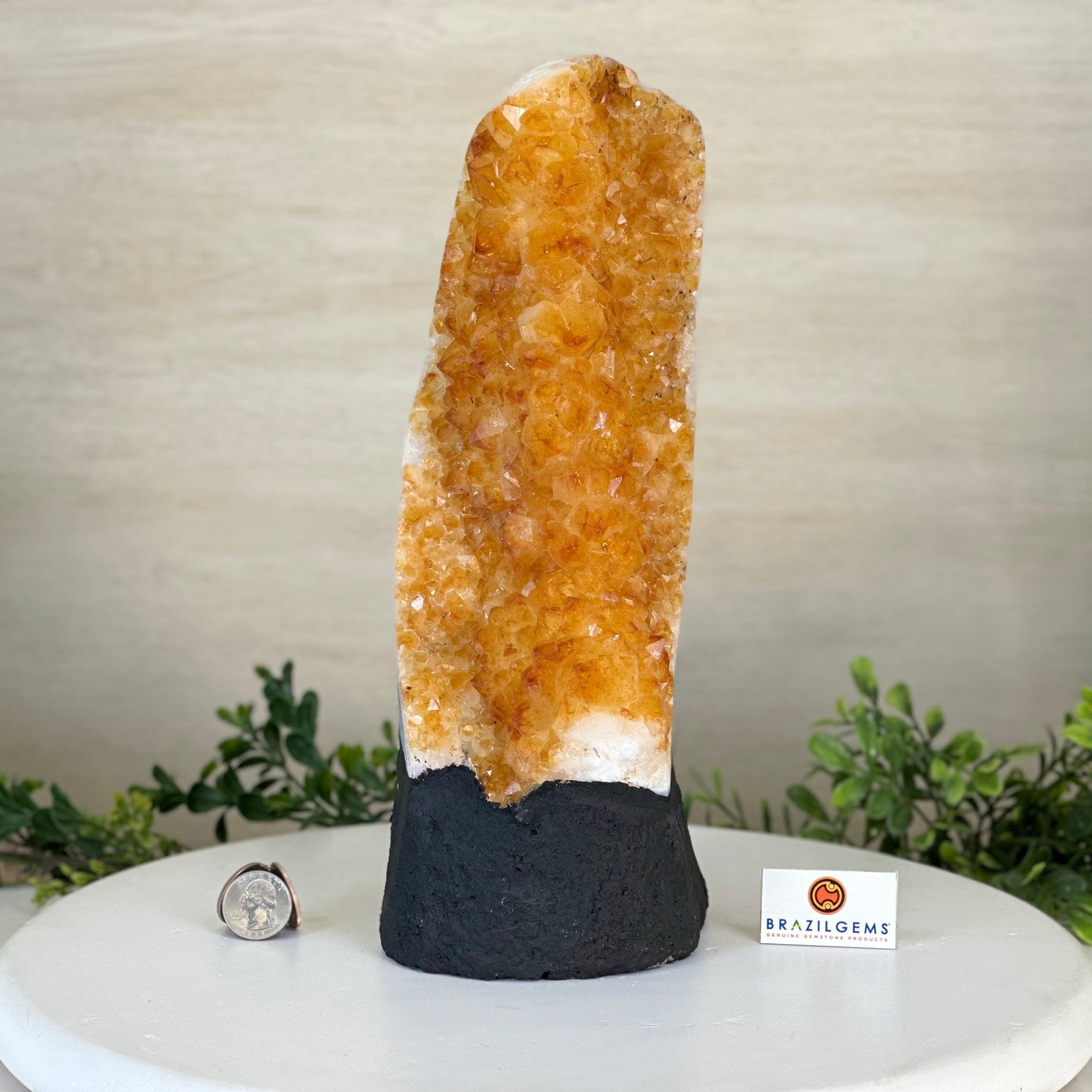 Extra Quality Citrine Cluster on Cement Base, 10.6 lbs and 11.9" Tall 5615 - 0067 - Brazil GemsBrazil GemsExtra Quality Citrine Cluster on Cement Base, 10.6 lbs and 11.9" Tall 5615 - 0067Clusters on Cement Bases5615 - 0067
