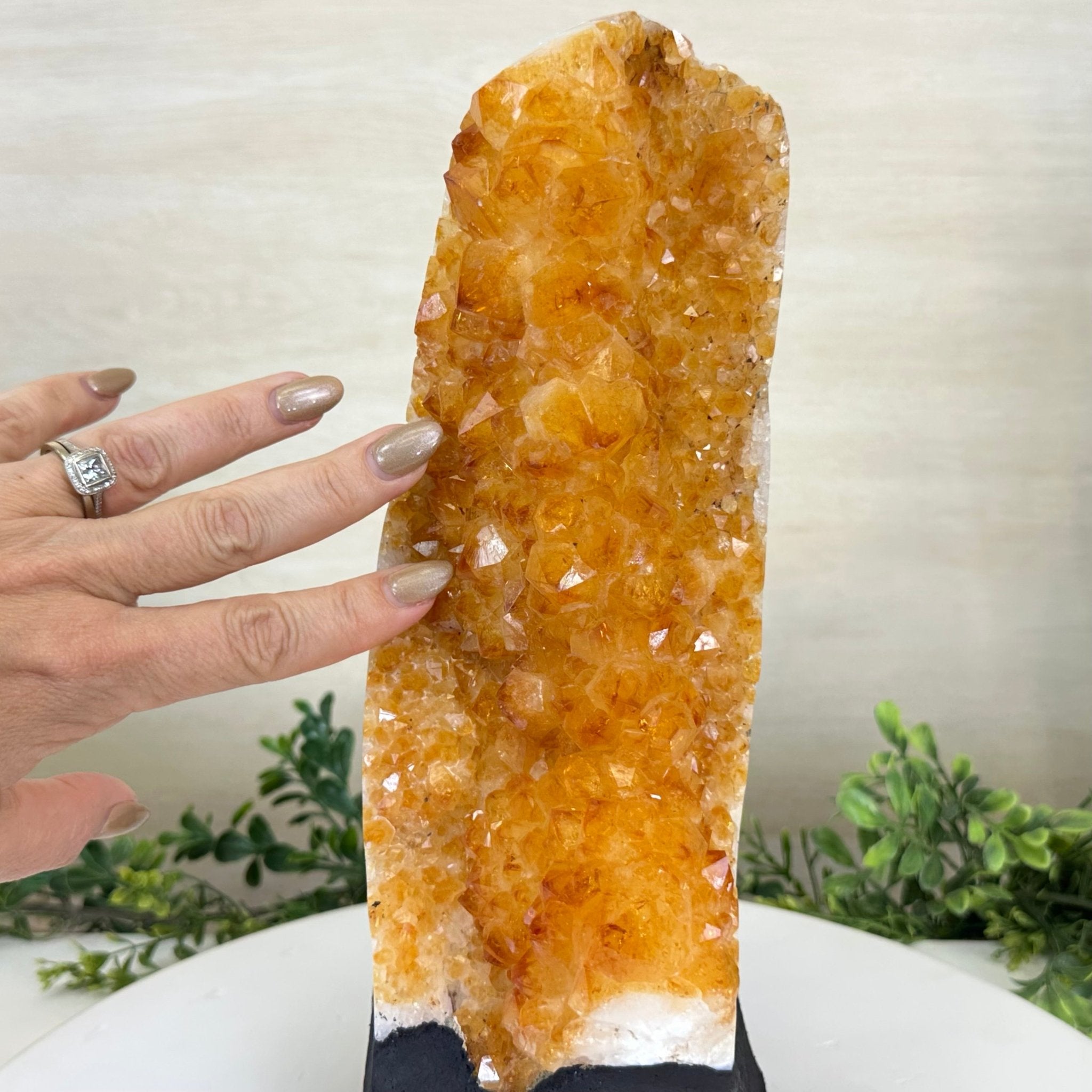 Extra Quality Citrine Cluster on Cement Base, 10.6 lbs and 11.9" Tall 5615 - 0067 - Brazil GemsBrazil GemsExtra Quality Citrine Cluster on Cement Base, 10.6 lbs and 11.9" Tall 5615 - 0067Clusters on Cement Bases5615 - 0067
