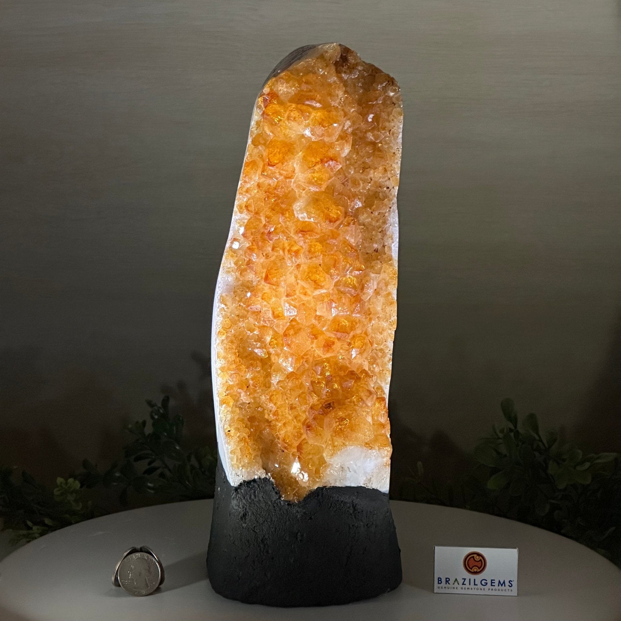 Extra Quality Citrine Cluster on Cement Base, 10.6 lbs and 11.9" Tall 5615 - 0067 - Brazil GemsBrazil GemsExtra Quality Citrine Cluster on Cement Base, 10.6 lbs and 11.9" Tall 5615 - 0067Clusters on Cement Bases5615 - 0067
