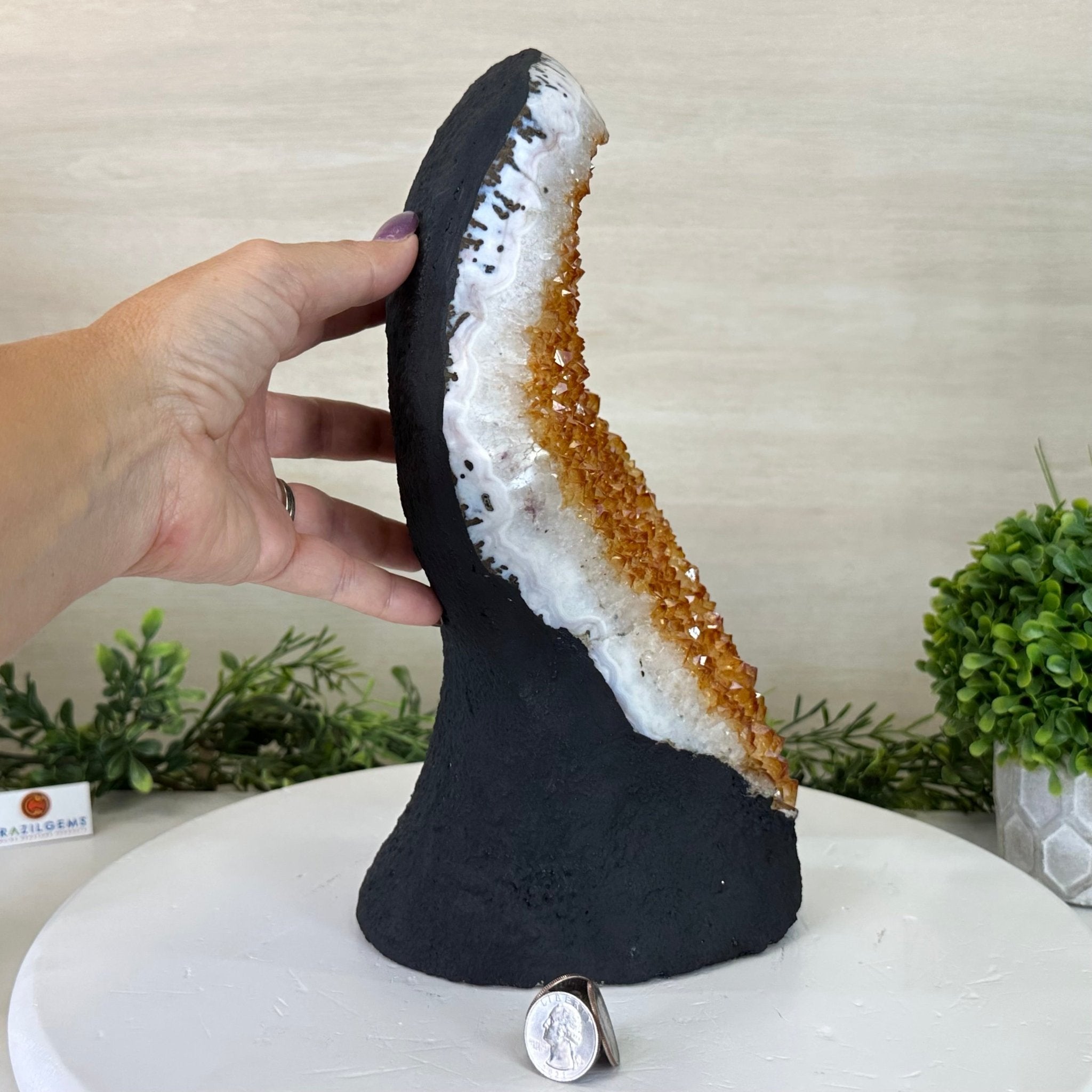 Extra Quality Citrine Cluster on Cement Base, 11.6 lbs and 11.9" Tall #5615 - 0046 - Brazil GemsBrazil GemsExtra Quality Citrine Cluster on Cement Base, 11.6 lbs and 11.9" Tall #5615 - 0046Clusters on Cement Bases5615 - 0046