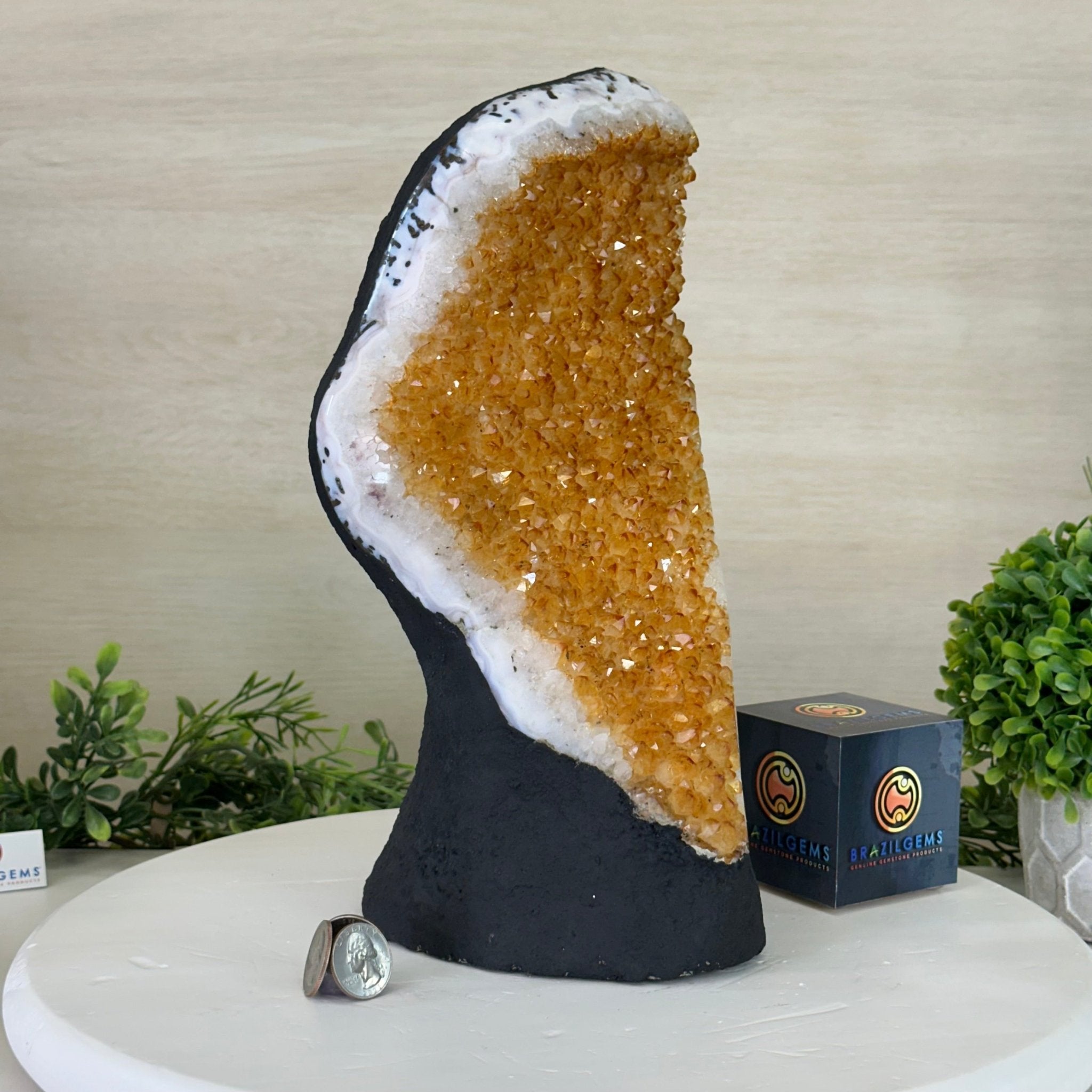 Extra Quality Citrine Cluster on Cement Base, 11.6 lbs and 11.9" Tall #5615 - 0046 - Brazil GemsBrazil GemsExtra Quality Citrine Cluster on Cement Base, 11.6 lbs and 11.9" Tall #5615 - 0046Clusters on Cement Bases5615 - 0046