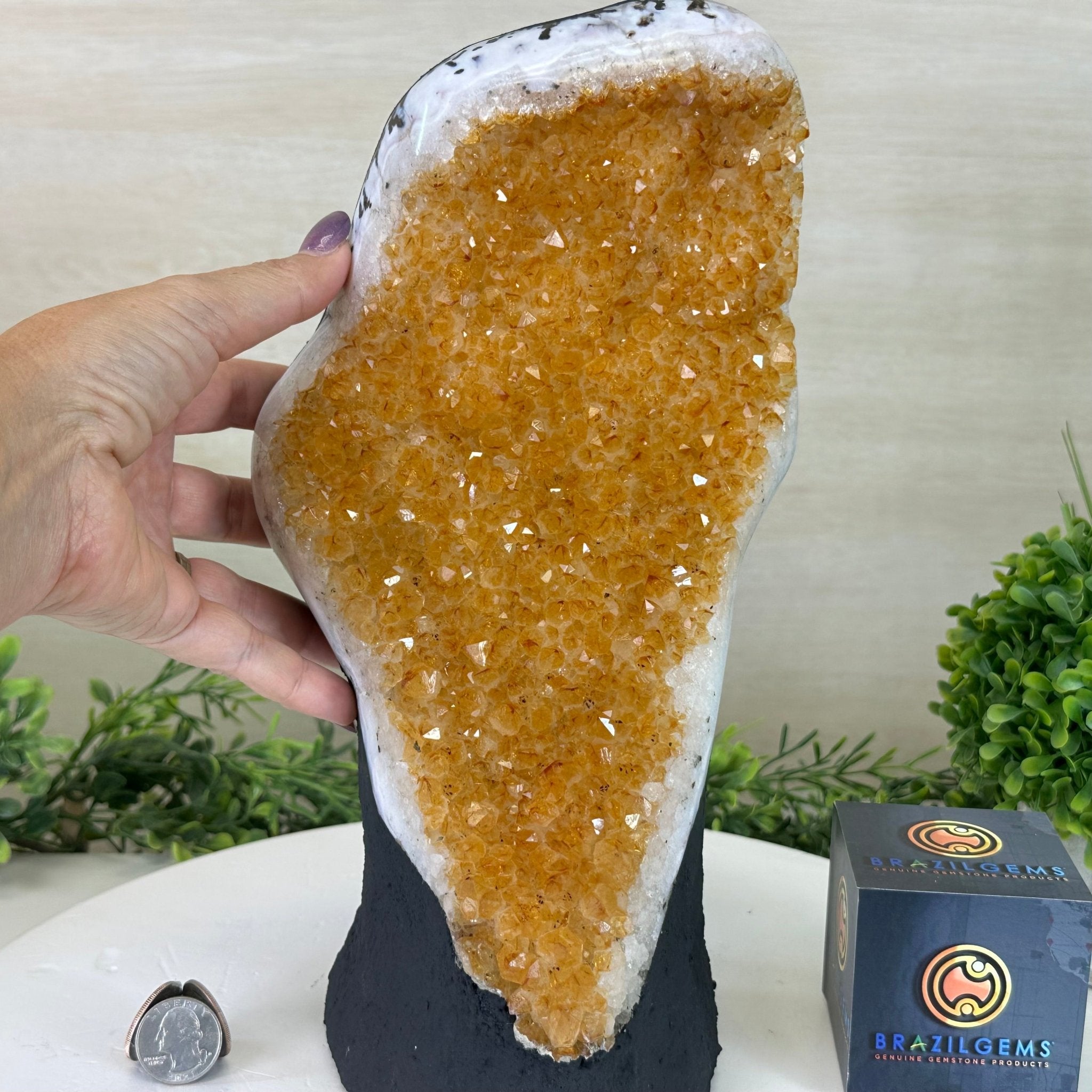 Extra Quality Citrine Cluster on Cement Base, 11.6 lbs and 11.9" Tall #5615 - 0046 - Brazil GemsBrazil GemsExtra Quality Citrine Cluster on Cement Base, 11.6 lbs and 11.9" Tall #5615 - 0046Clusters on Cement Bases5615 - 0046