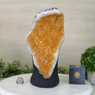 Extra Quality Citrine Cluster on Cement Base, 11.6 lbs and 11.9" Tall #5615 - 0046 - Brazil GemsBrazil GemsExtra Quality Citrine Cluster on Cement Base, 11.6 lbs and 11.9" Tall #5615 - 0046Clusters on Cement Bases5615 - 0046