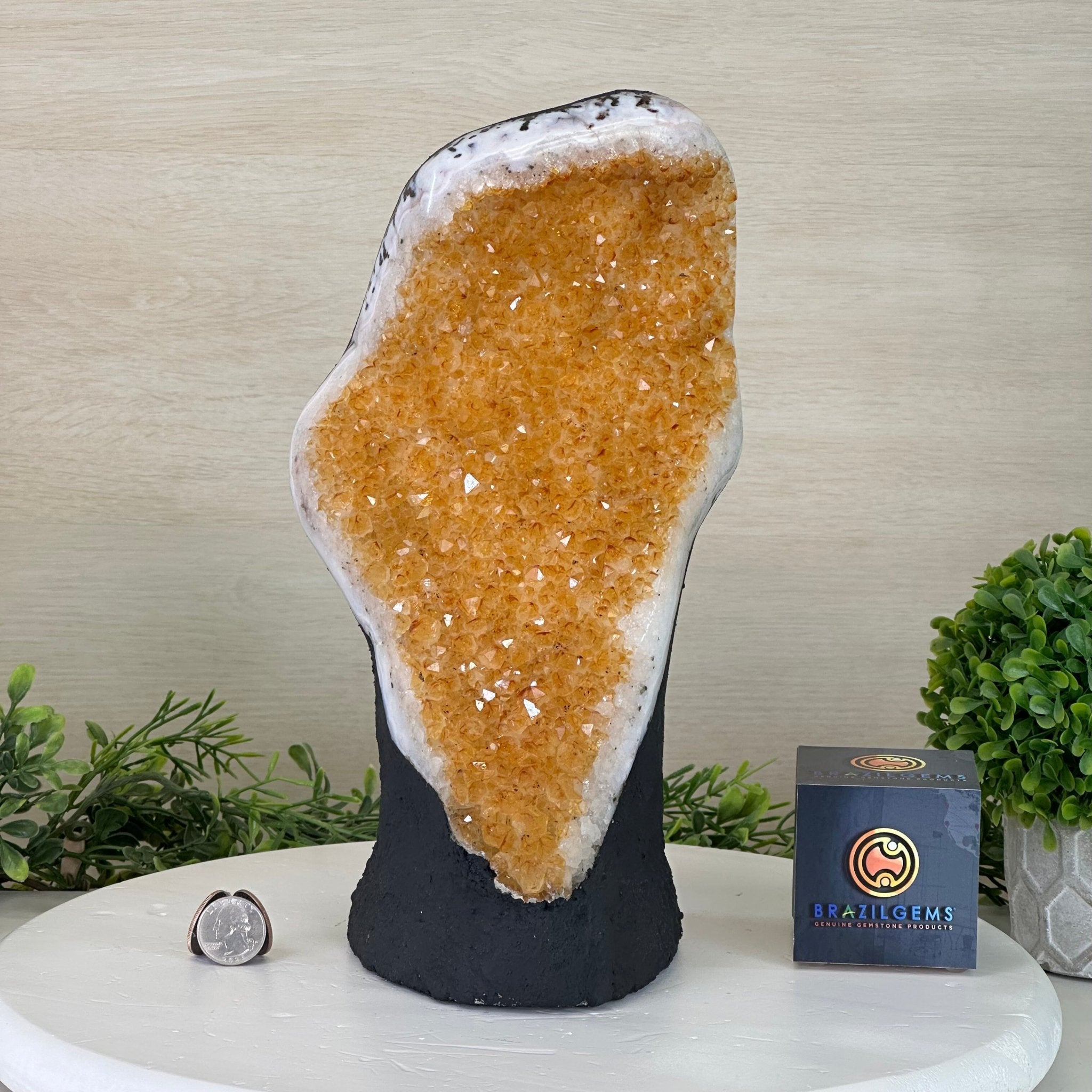 Extra Quality Citrine Cluster on Cement Base, 11.6 lbs and 11.9" Tall #5615 - 0046 - Brazil GemsBrazil GemsExtra Quality Citrine Cluster on Cement Base, 11.6 lbs and 11.9" Tall #5615 - 0046Clusters on Cement Bases5615 - 0046