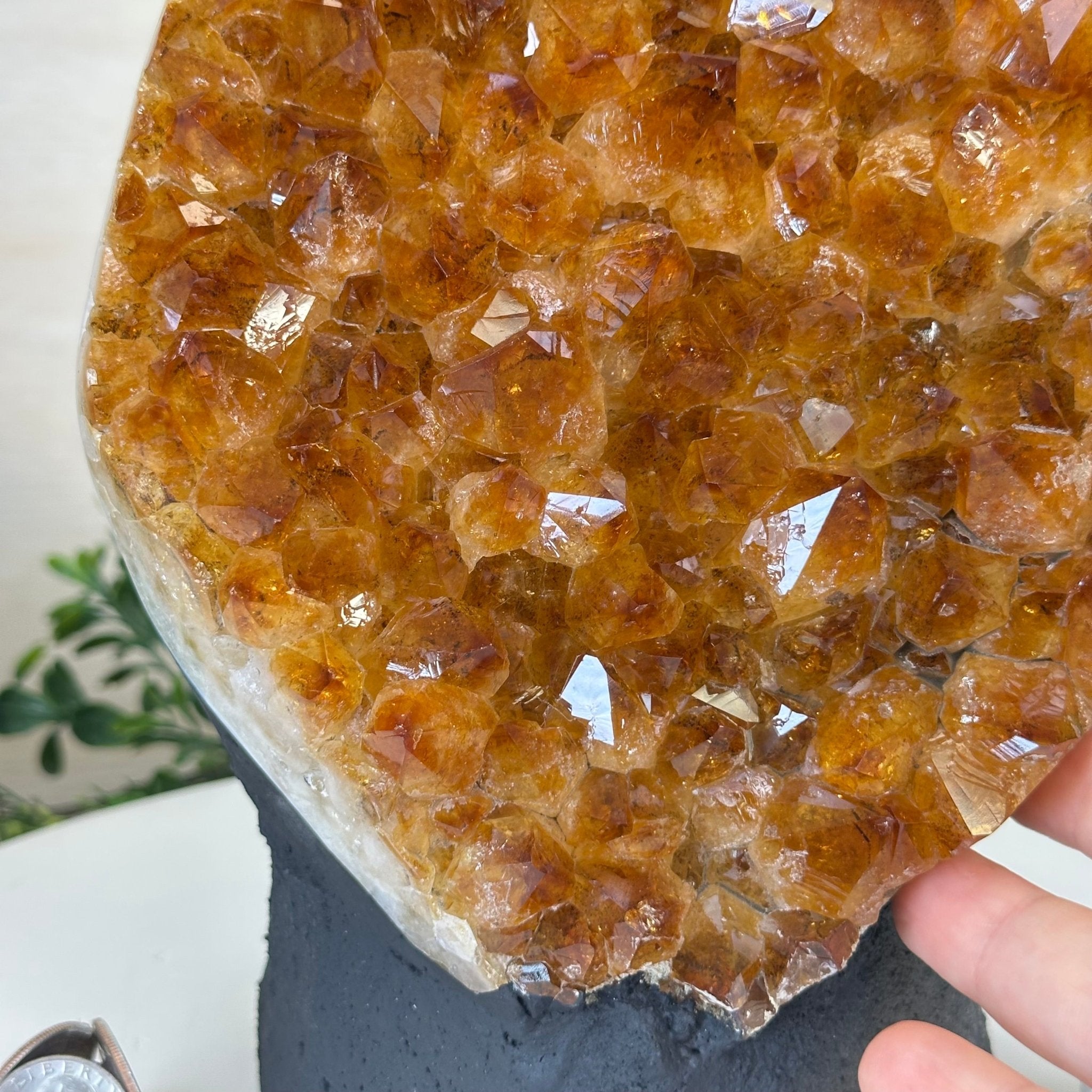 Extra Quality Citrine Cluster on Cement Base, 13.8 lbs and 11.4" Tall 5615 - 0069 - Brazil GemsBrazil GemsExtra Quality Citrine Cluster on Cement Base, 13.8 lbs and 11.4" Tall 5615 - 0069Clusters on Cement Bases5615 - 0069