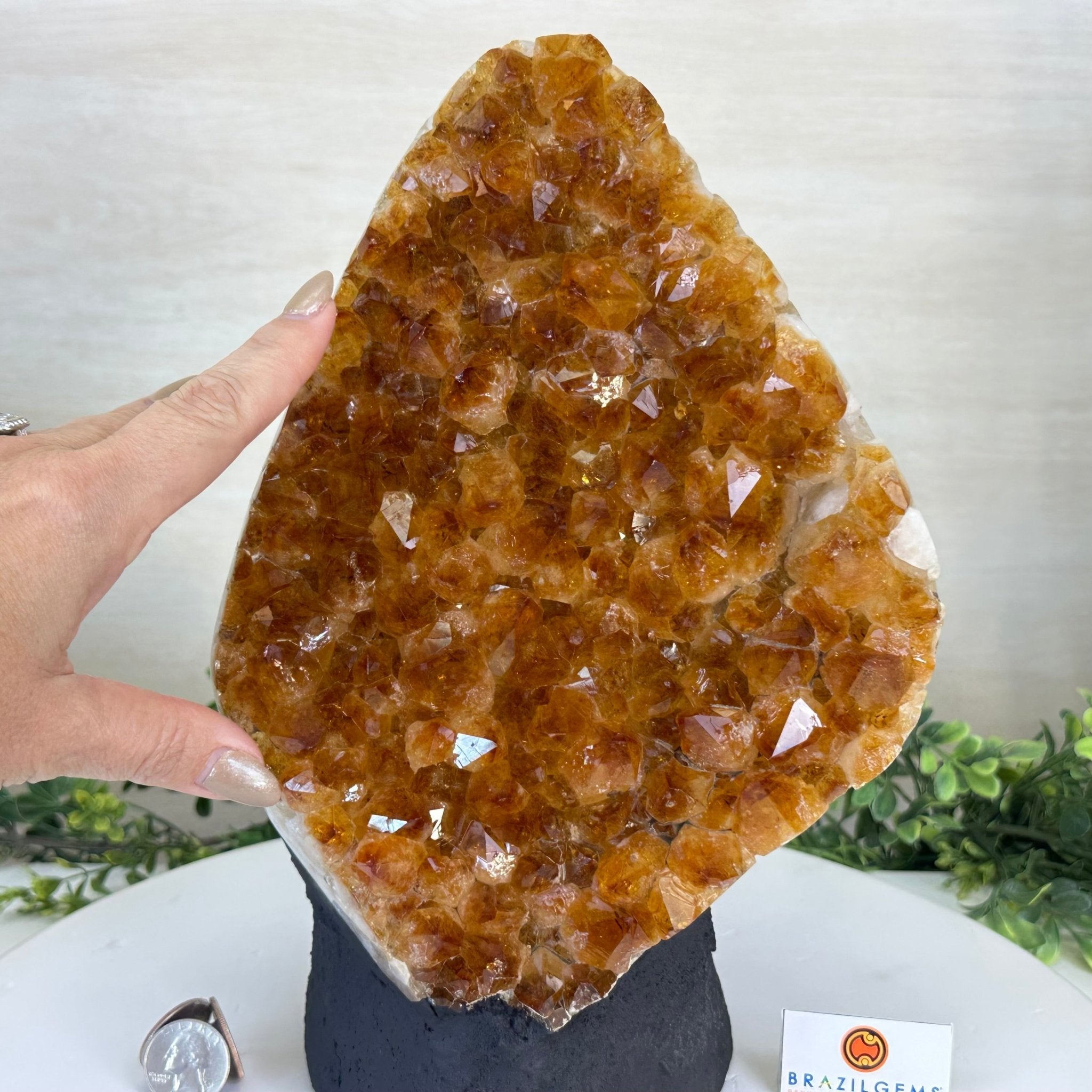 Extra Quality Citrine Cluster on Cement Base, 13.8 lbs and 11.4" Tall 5615 - 0069 - Brazil GemsBrazil GemsExtra Quality Citrine Cluster on Cement Base, 13.8 lbs and 11.4" Tall 5615 - 0069Clusters on Cement Bases5615 - 0069