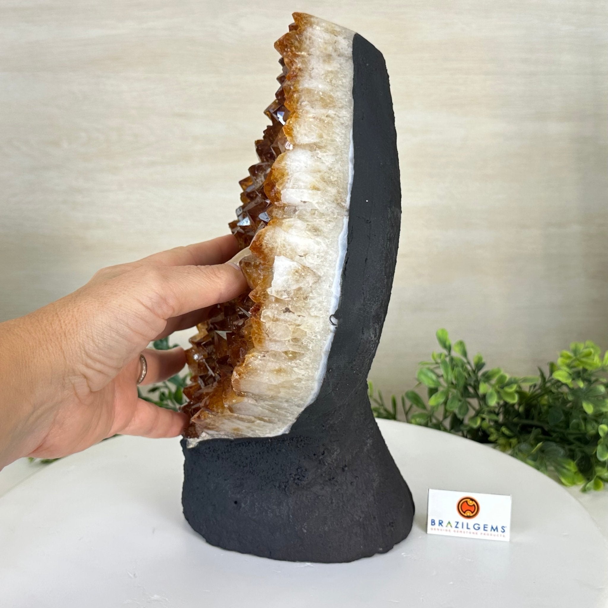 Extra Quality Citrine Cluster on Cement Base, 13.8 lbs and 11.4" Tall 5615 - 0069 - Brazil GemsBrazil GemsExtra Quality Citrine Cluster on Cement Base, 13.8 lbs and 11.4" Tall 5615 - 0069Clusters on Cement Bases5615 - 0069