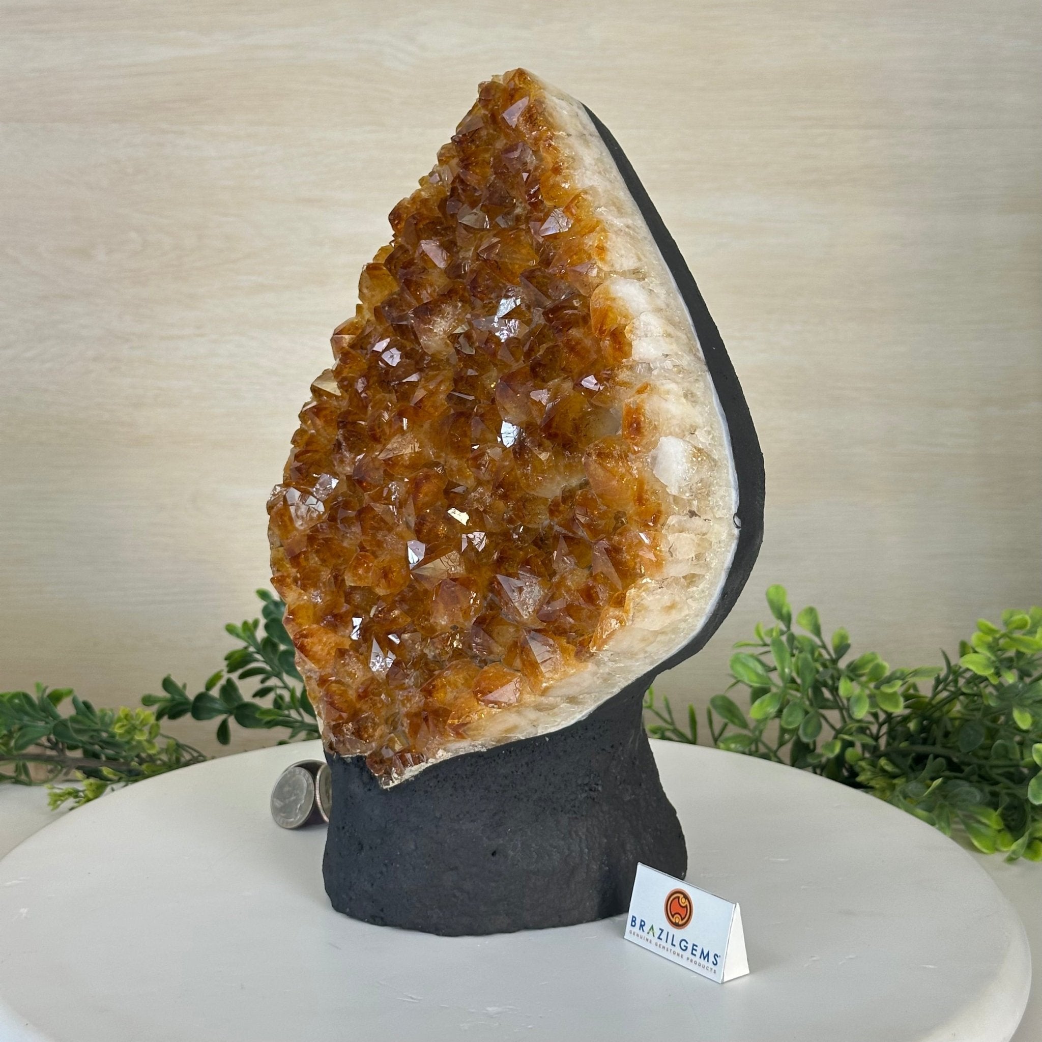 Extra Quality Citrine Cluster on Cement Base, 13.8 lbs and 11.4" Tall 5615 - 0069 - Brazil GemsBrazil GemsExtra Quality Citrine Cluster on Cement Base, 13.8 lbs and 11.4" Tall 5615 - 0069Clusters on Cement Bases5615 - 0069