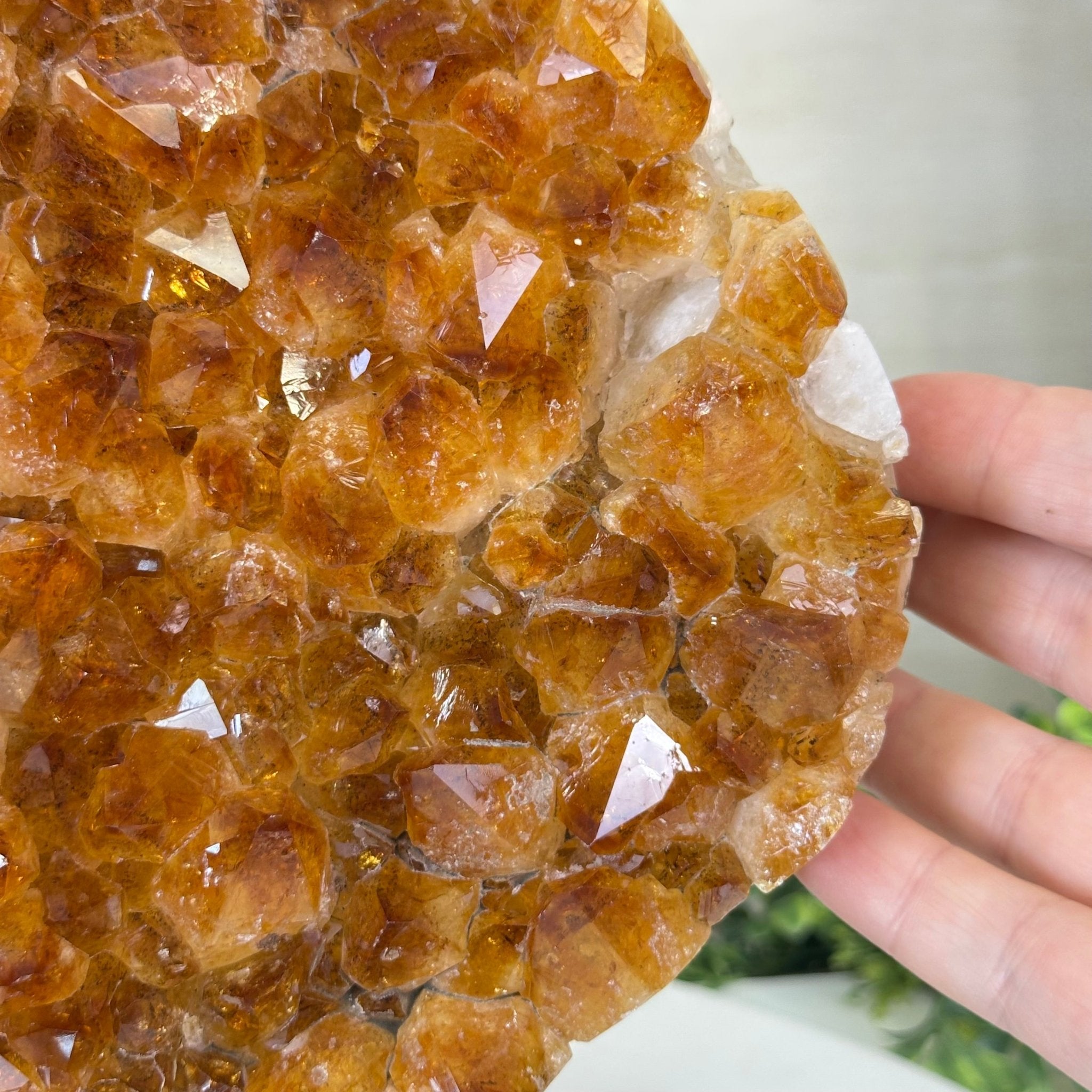 Extra Quality Citrine Cluster on Cement Base, 13.8 lbs and 11.4" Tall 5615 - 0069 - Brazil GemsBrazil GemsExtra Quality Citrine Cluster on Cement Base, 13.8 lbs and 11.4" Tall 5615 - 0069Clusters on Cement Bases5615 - 0069