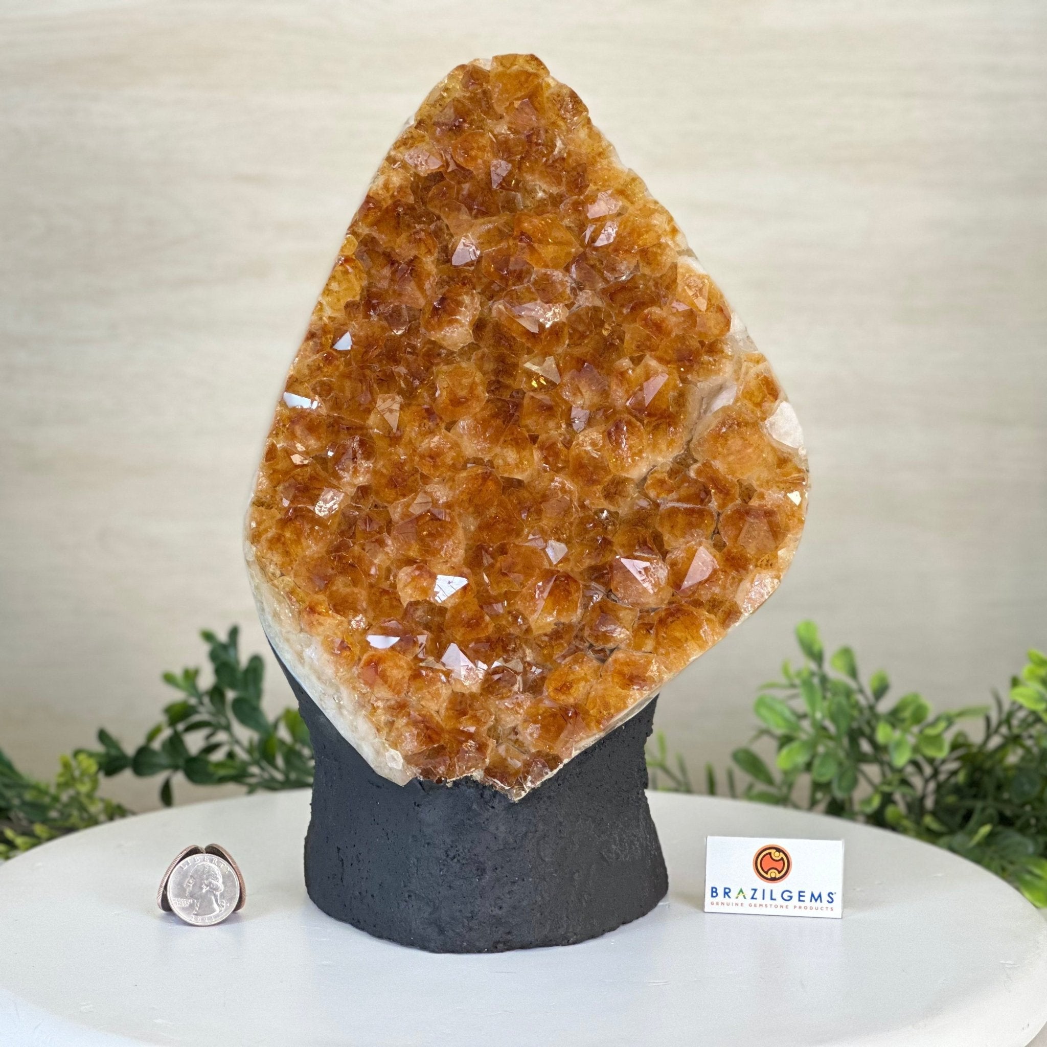 Extra Quality Citrine Cluster on Cement Base, 13.8 lbs and 11.4" Tall 5615 - 0069 - Brazil GemsBrazil GemsExtra Quality Citrine Cluster on Cement Base, 13.8 lbs and 11.4" Tall 5615 - 0069Clusters on Cement Bases5615 - 0069