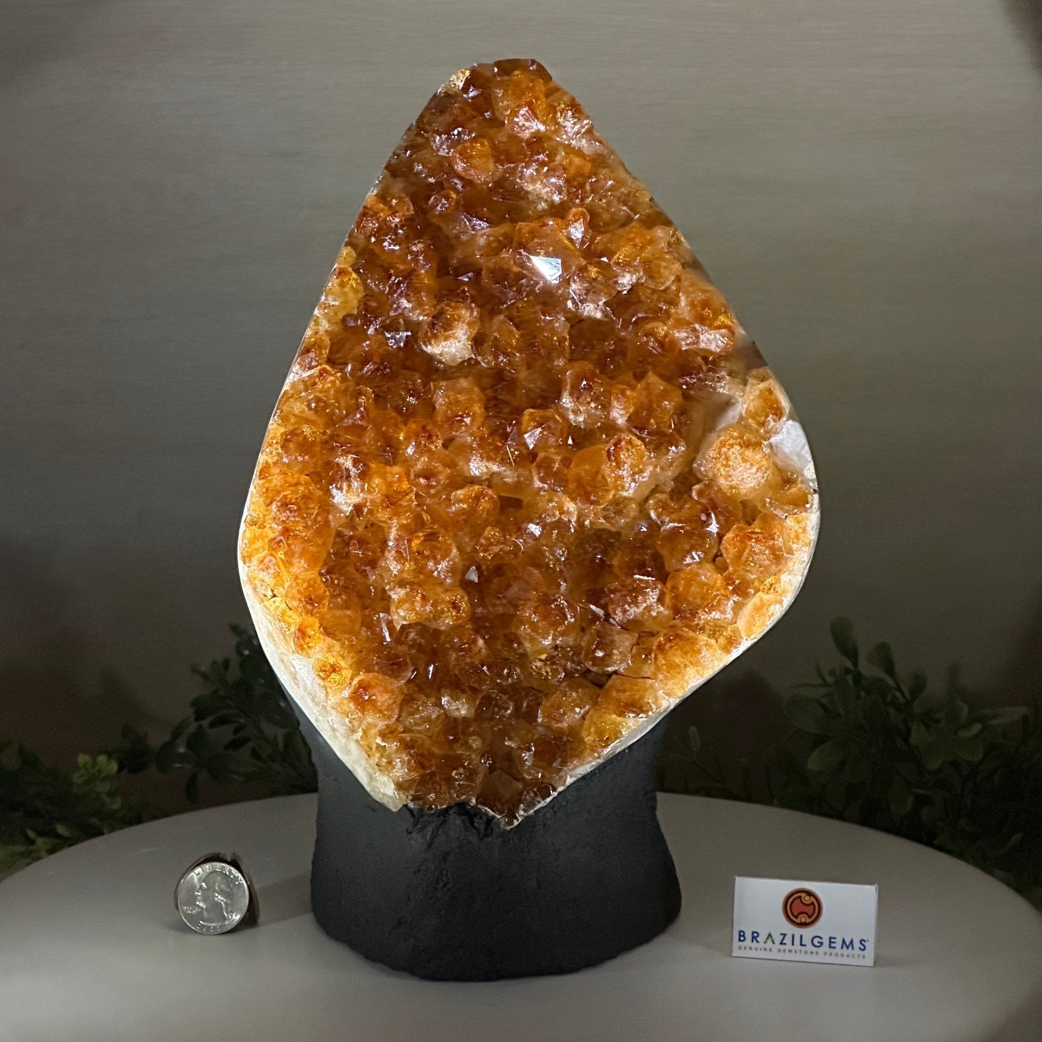 Extra Quality Citrine Cluster on Cement Base, 13.8 lbs and 11.4" Tall 5615 - 0069 - Brazil GemsBrazil GemsExtra Quality Citrine Cluster on Cement Base, 13.8 lbs and 11.4" Tall 5615 - 0069Clusters on Cement Bases5615 - 0069
