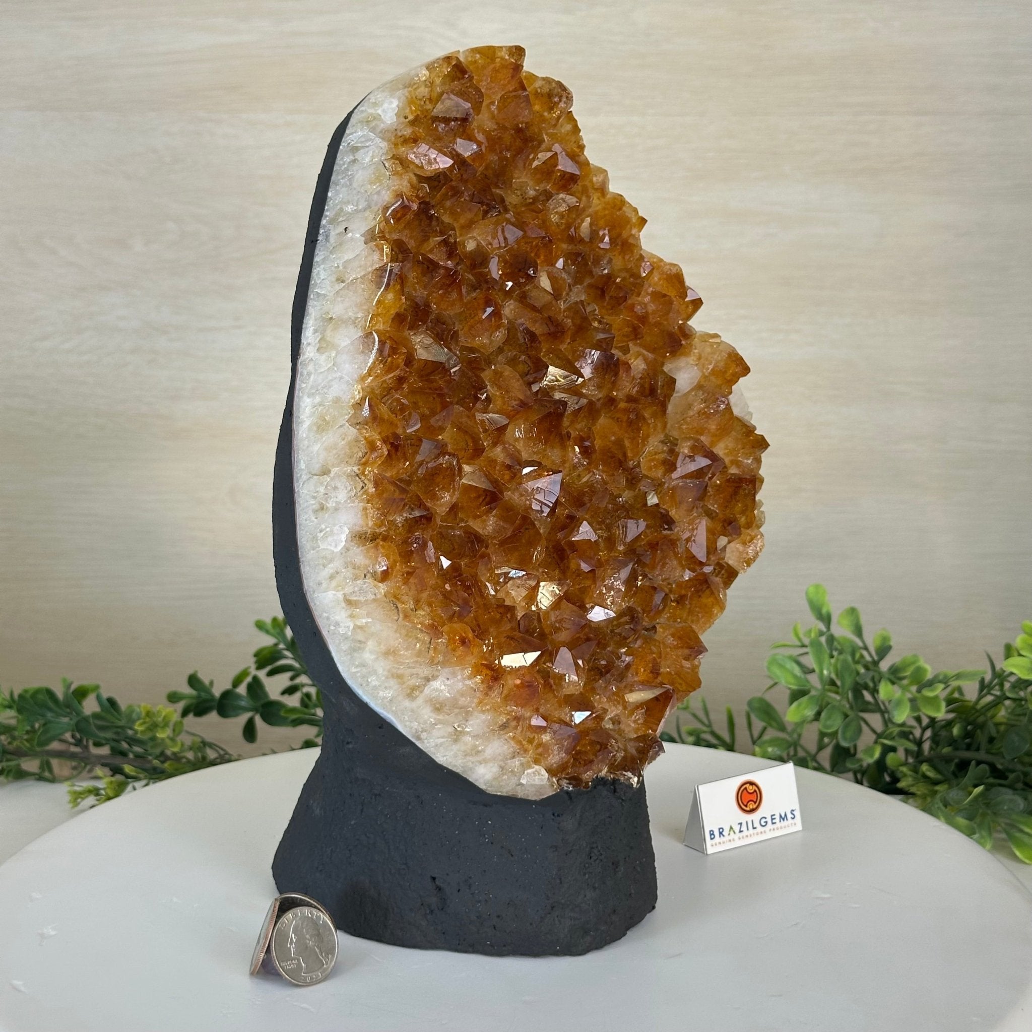 Extra Quality Citrine Cluster on Cement Base, 13.8 lbs and 11.4" Tall 5615 - 0069 - Brazil GemsBrazil GemsExtra Quality Citrine Cluster on Cement Base, 13.8 lbs and 11.4" Tall 5615 - 0069Clusters on Cement Bases5615 - 0069