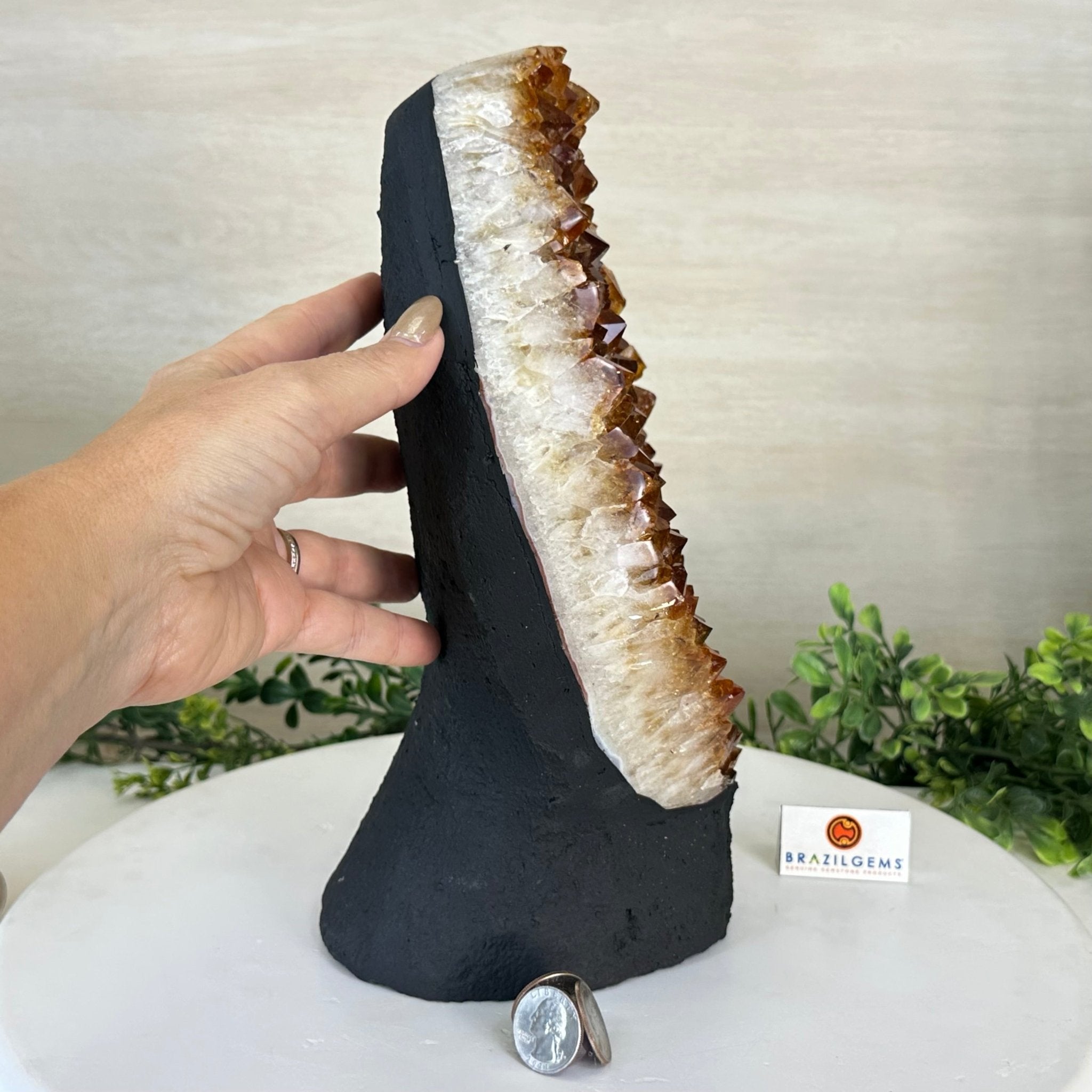 Extra Quality Citrine Cluster on Cement Base, 13.8 lbs and 11.4" Tall 5615 - 0069 - Brazil GemsBrazil GemsExtra Quality Citrine Cluster on Cement Base, 13.8 lbs and 11.4" Tall 5615 - 0069Clusters on Cement Bases5615 - 0069