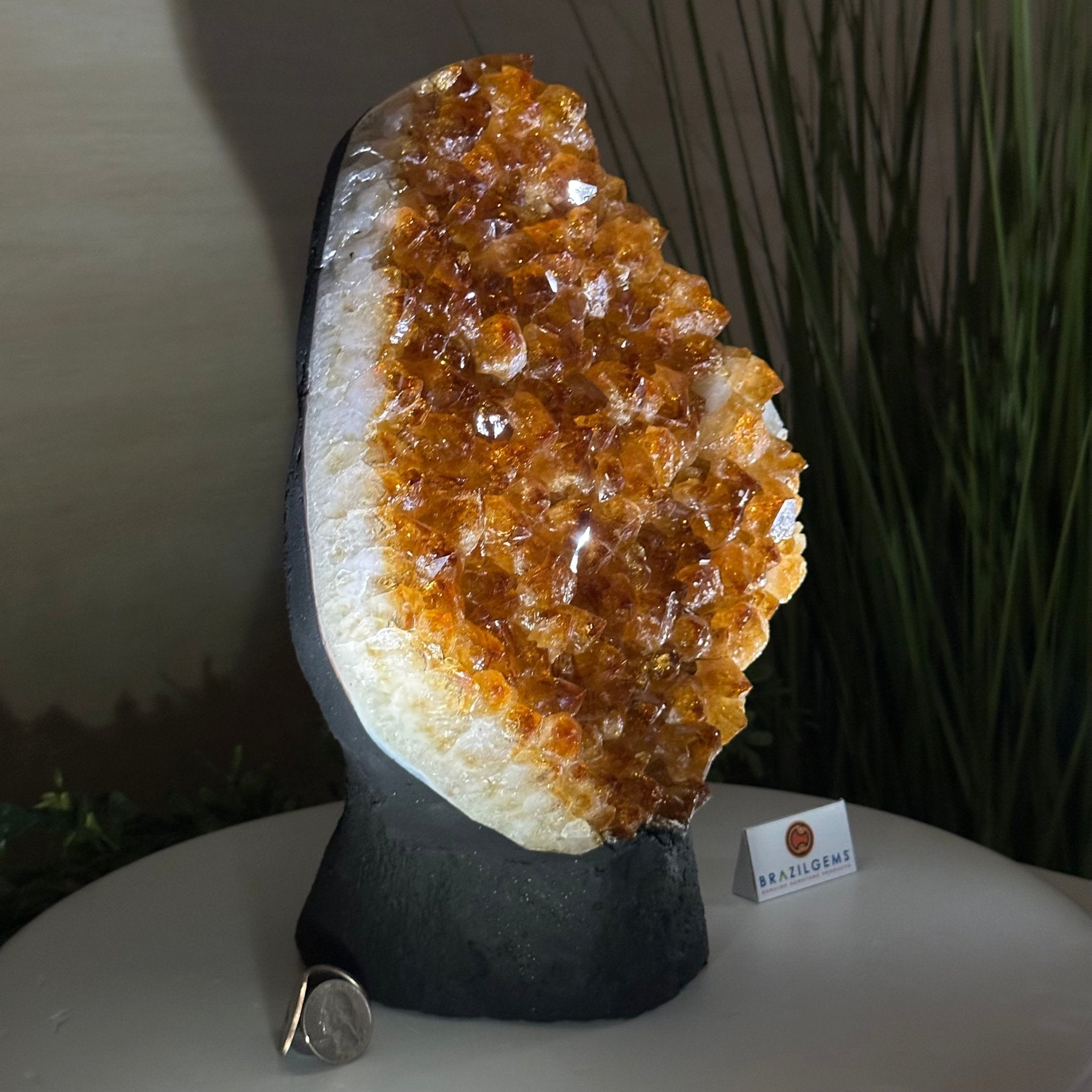 Extra Quality Citrine Cluster on Cement Base, 13.8 lbs and 11.4" Tall 5615 - 0069 - Brazil GemsBrazil GemsExtra Quality Citrine Cluster on Cement Base, 13.8 lbs and 11.4" Tall 5615 - 0069Clusters on Cement Bases5615 - 0069