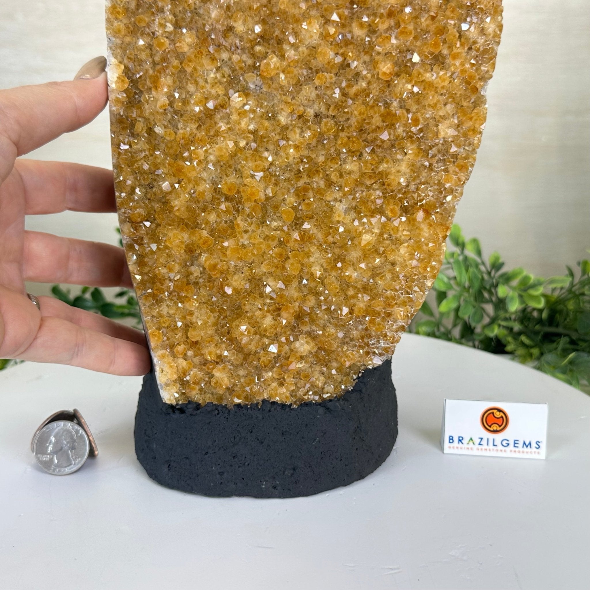 Extra Quality Citrine Cluster on Cement Base, 13.8 lbs and 13.7" Tall 5615 - 0068 - Brazil GemsBrazil GemsExtra Quality Citrine Cluster on Cement Base, 13.8 lbs and 13.7" Tall 5615 - 0068Clusters on Cement Bases5615 - 0068