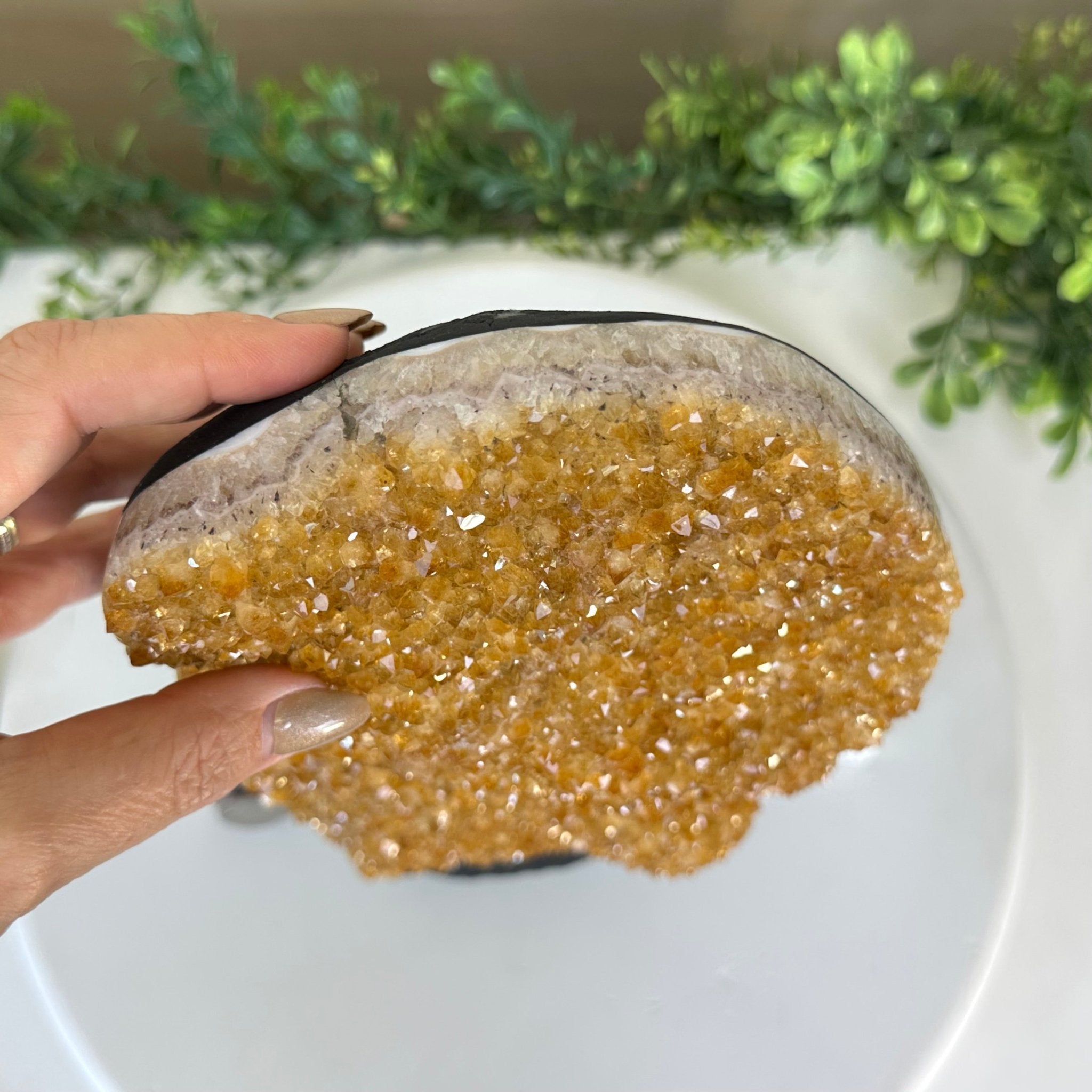 Extra Quality Citrine Cluster on Cement Base, 13.8 lbs and 13.7" Tall 5615 - 0068 - Brazil GemsBrazil GemsExtra Quality Citrine Cluster on Cement Base, 13.8 lbs and 13.7" Tall 5615 - 0068Clusters on Cement Bases5615 - 0068