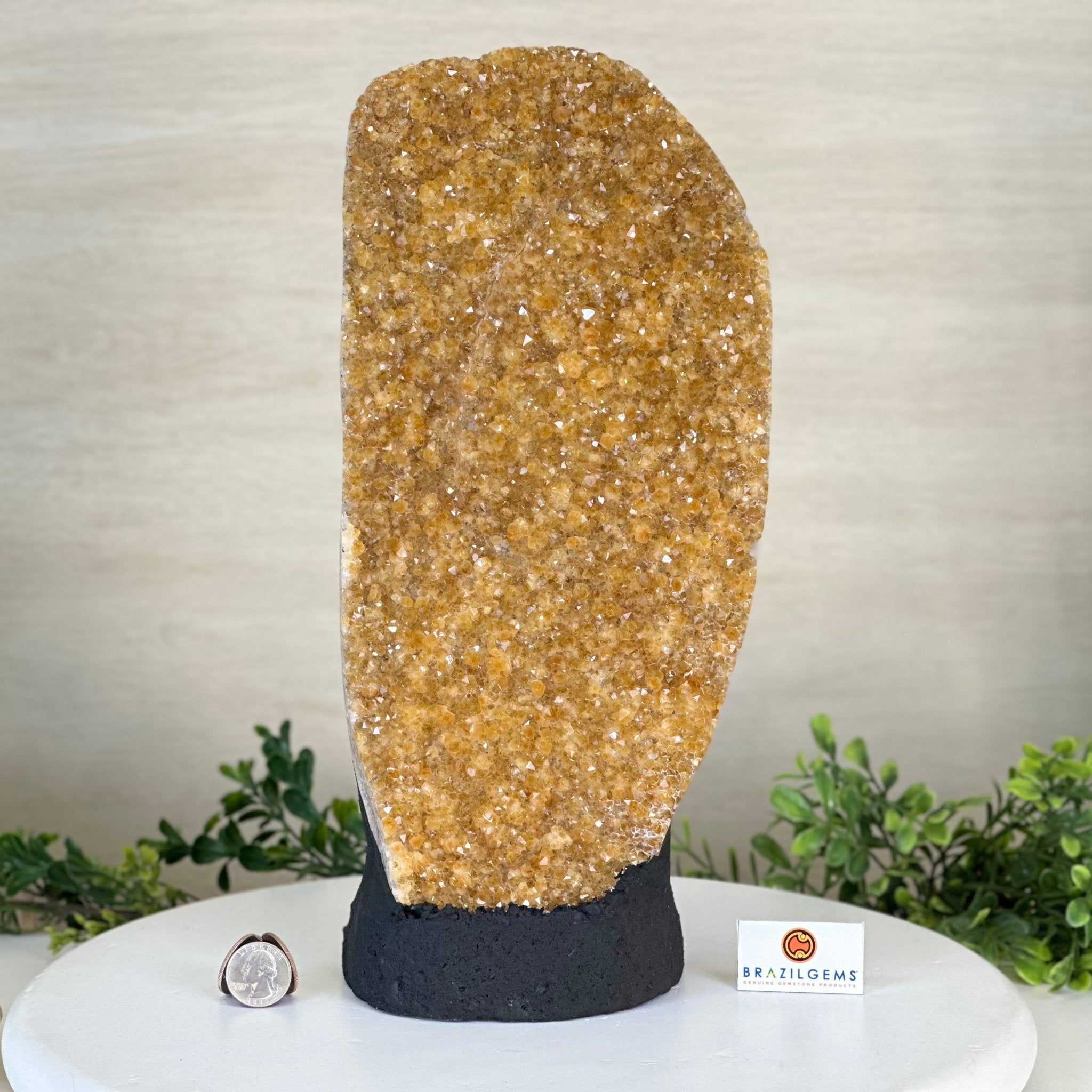 Extra Quality Citrine Cluster on Cement Base, 13.8 lbs and 13.7" Tall 5615 - 0068 - Brazil GemsBrazil GemsExtra Quality Citrine Cluster on Cement Base, 13.8 lbs and 13.7" Tall 5615 - 0068Clusters on Cement Bases5615 - 0068