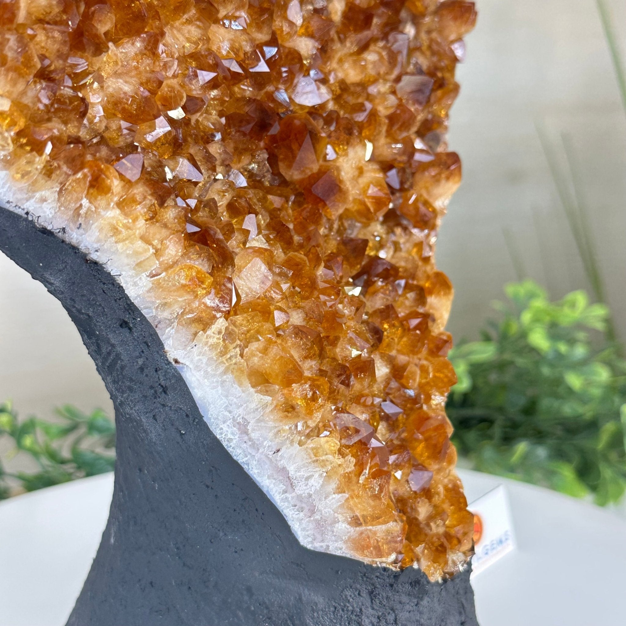 Extra Quality Citrine Cluster on Cement Base, 16.5 lbs and 14.9" Tall 5615 - 0070 - Brazil GemsBrazil GemsExtra Quality Citrine Cluster on Cement Base, 16.5 lbs and 14.9" Tall 5615 - 0070Clusters on Cement Bases5615 - 0070